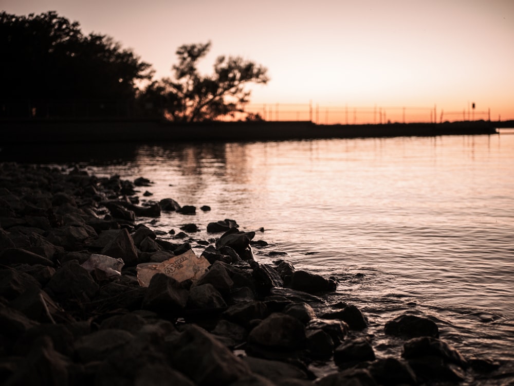 a rocky shore with a body of water and a bridge in the background