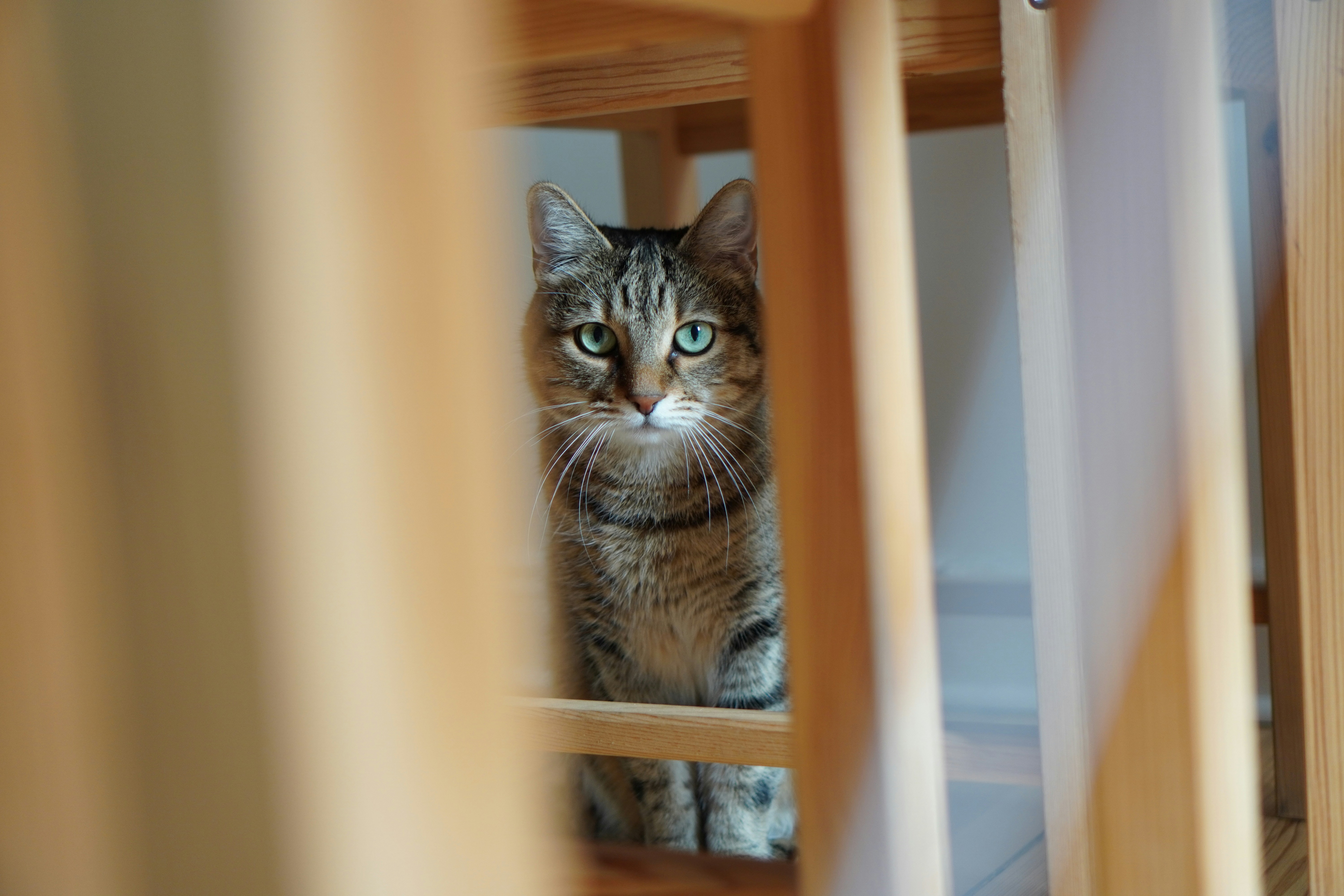 Photo by random_berliner