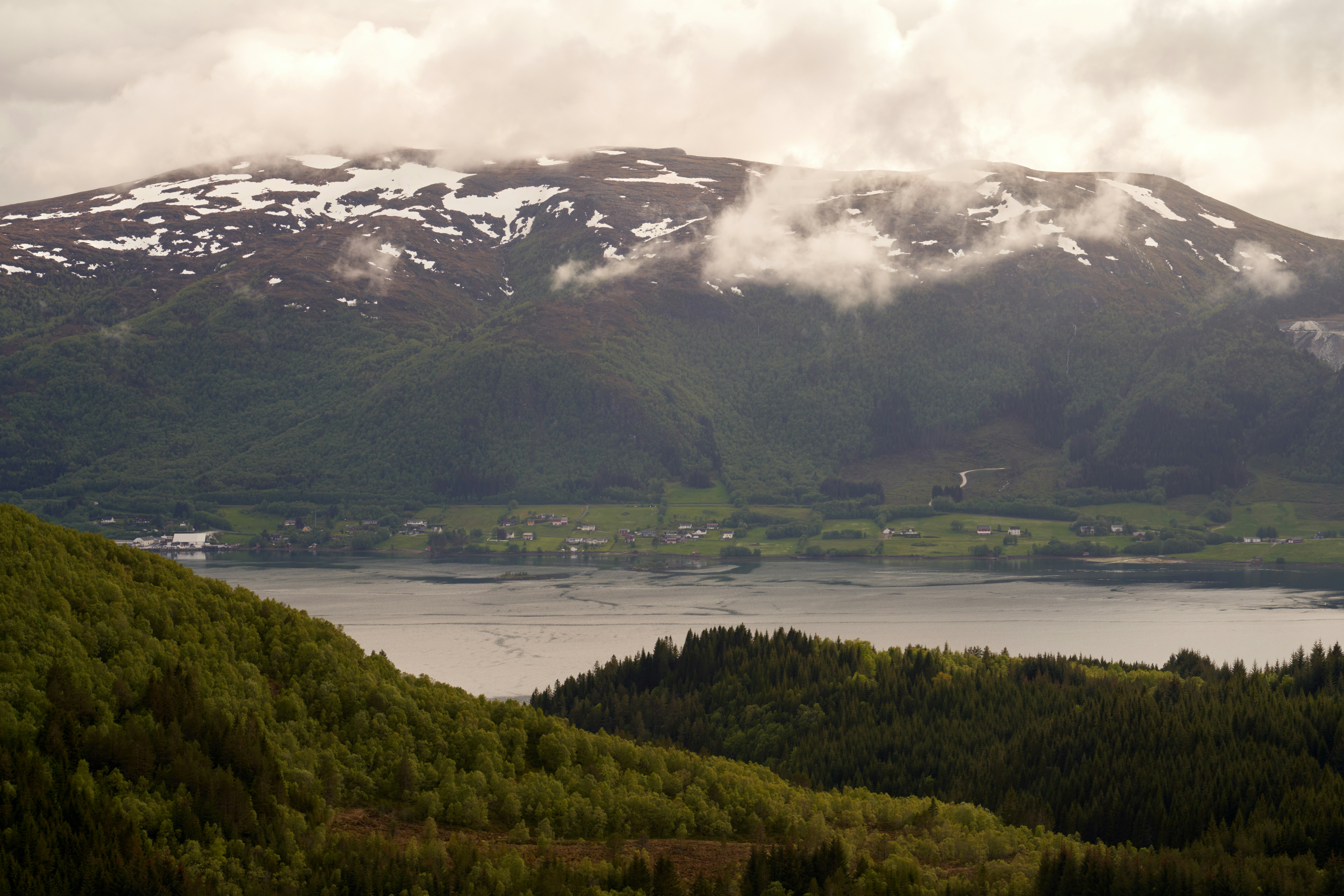 Photo by davotibarna