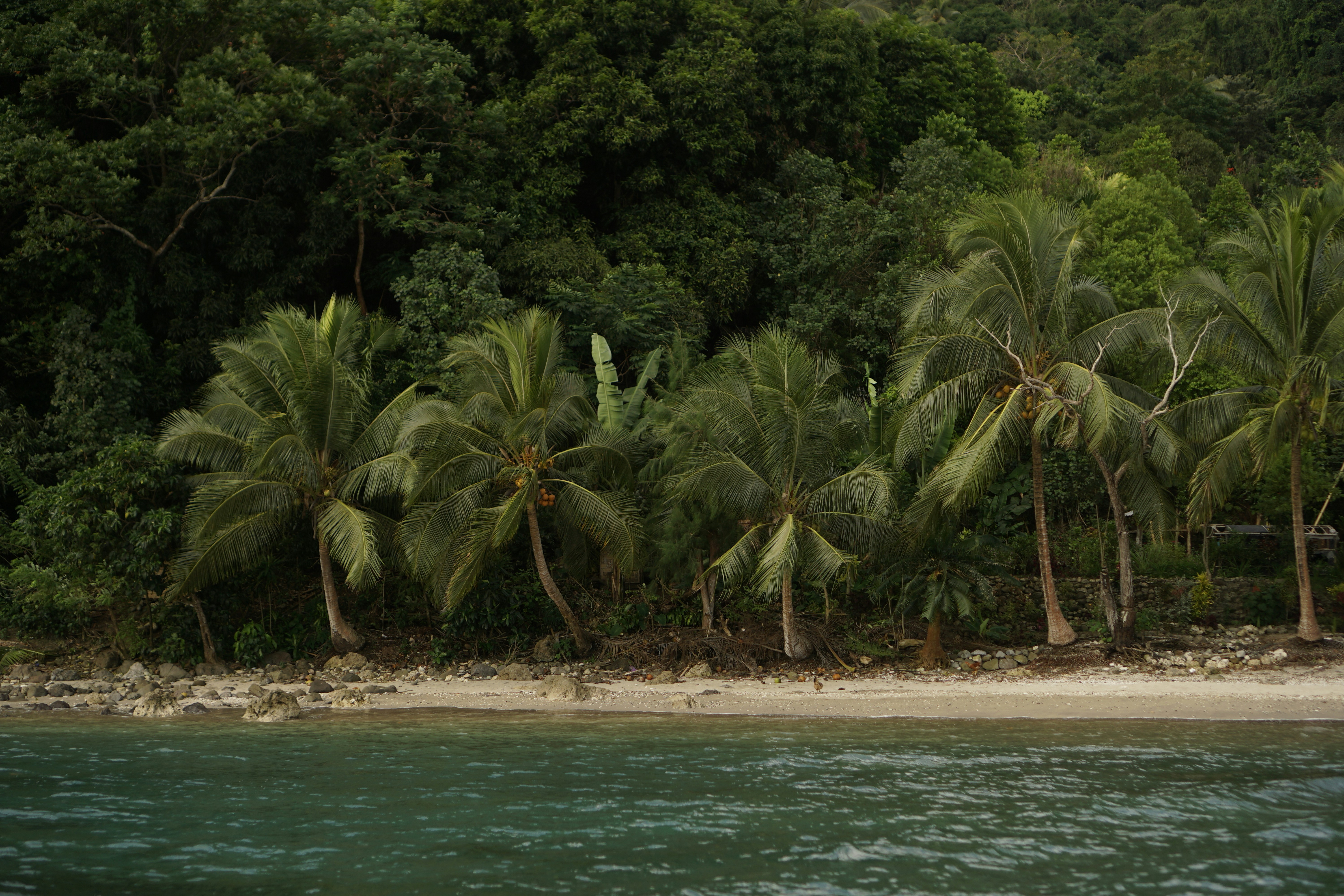 Navigating Name Changes Under Vanuatu's Citizenship by Investment Program