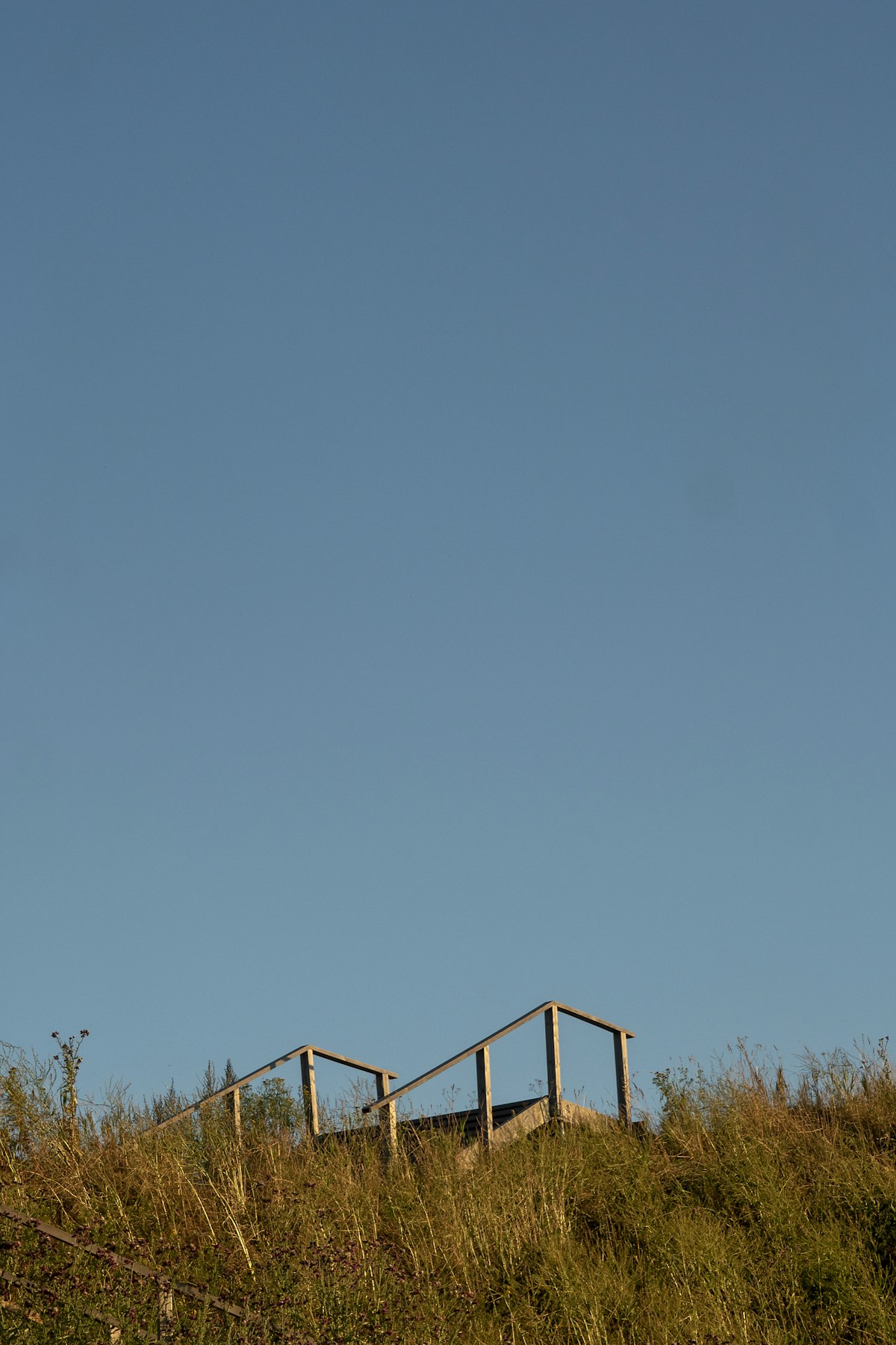 Boundbirsn archive photo