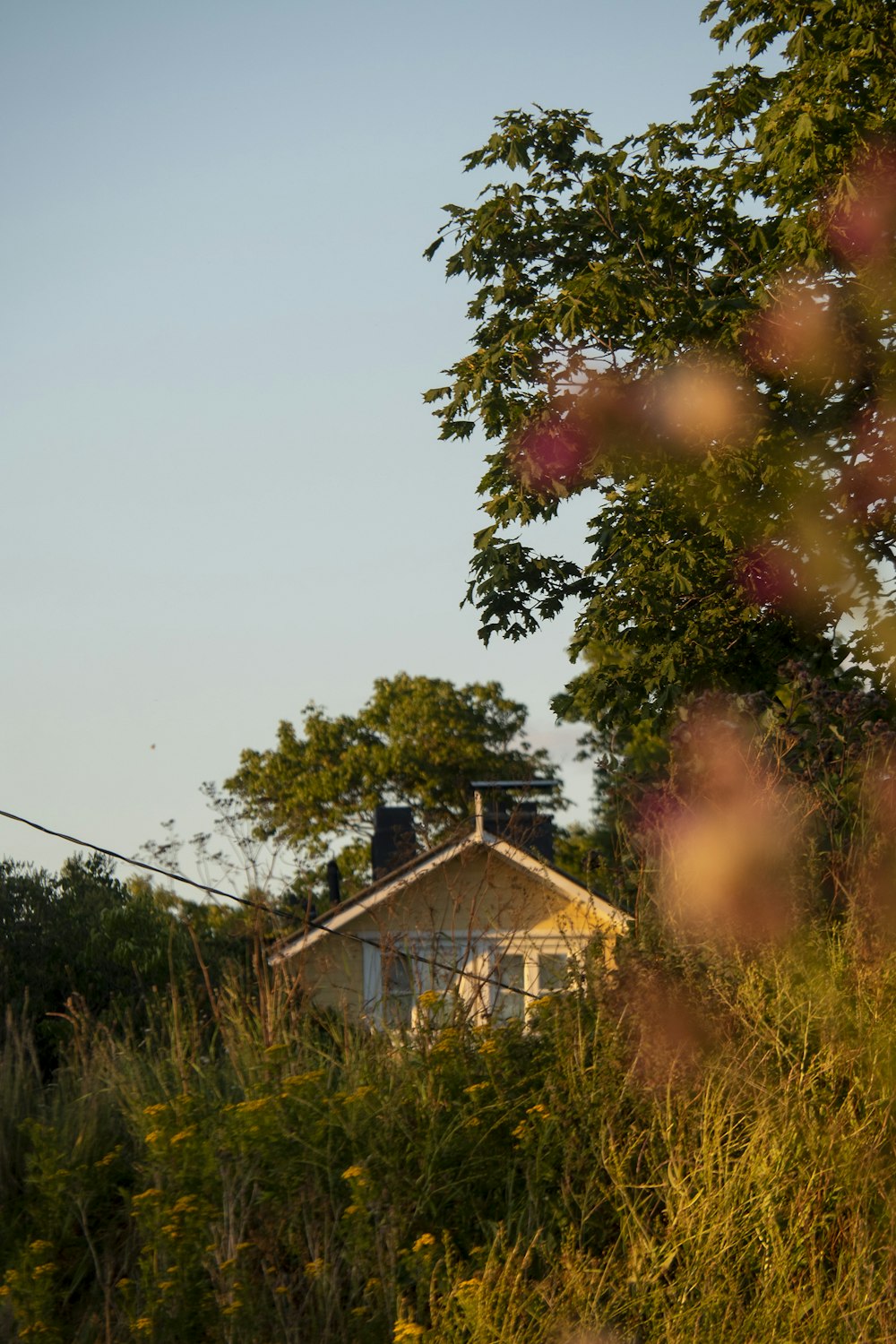 a house in a field