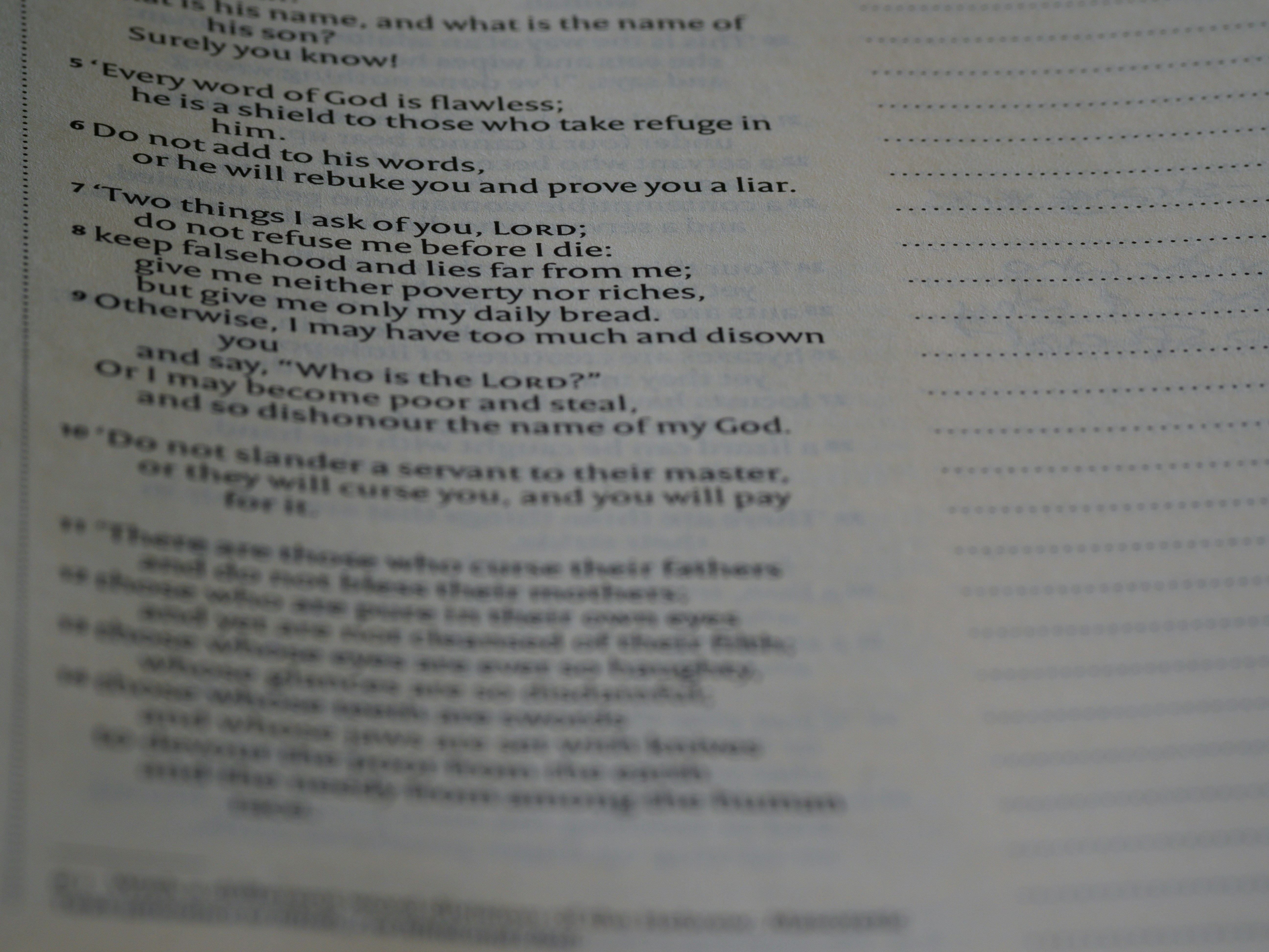 Photo by brett_jordan