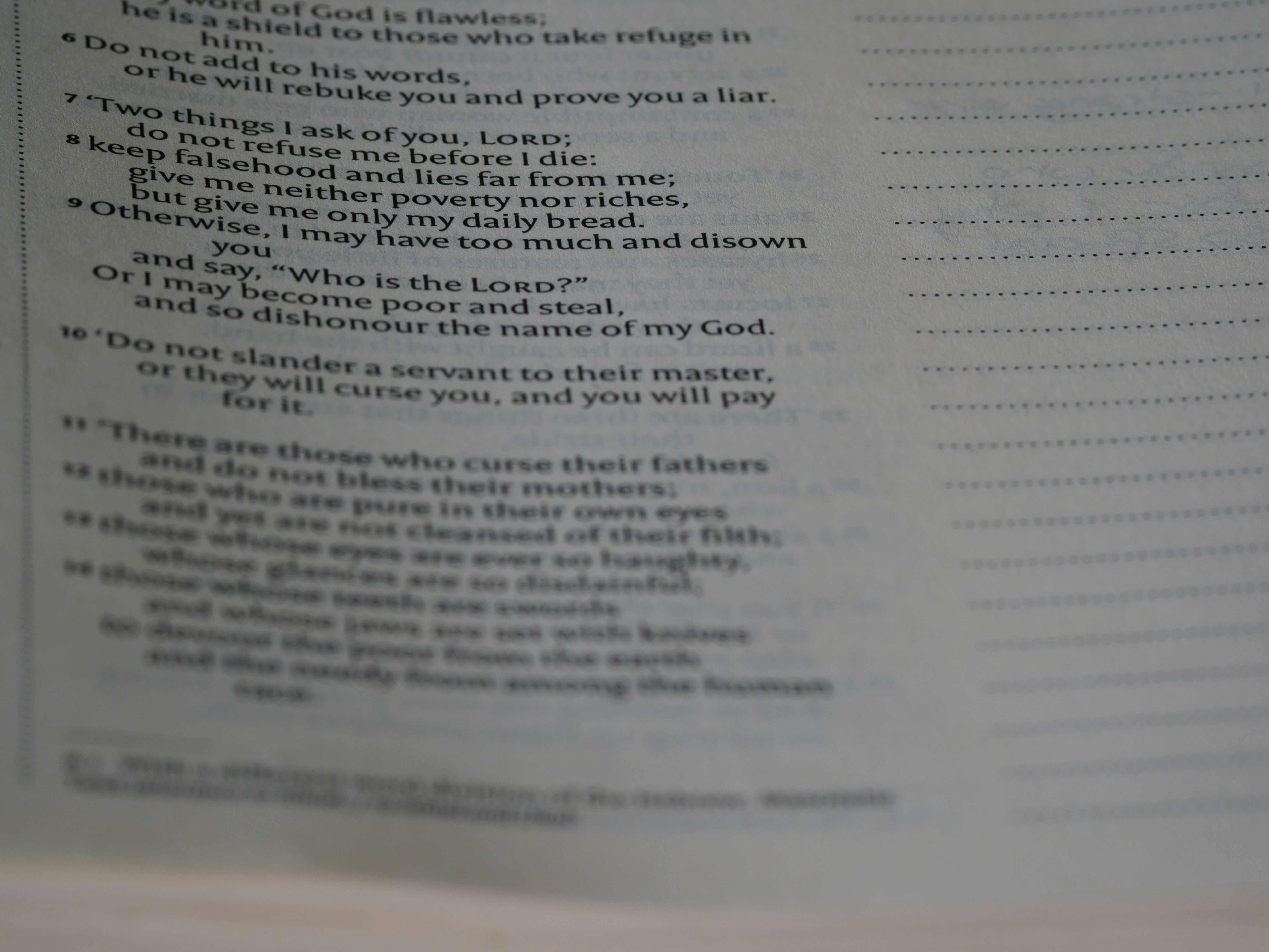 Photo by brett_jordan