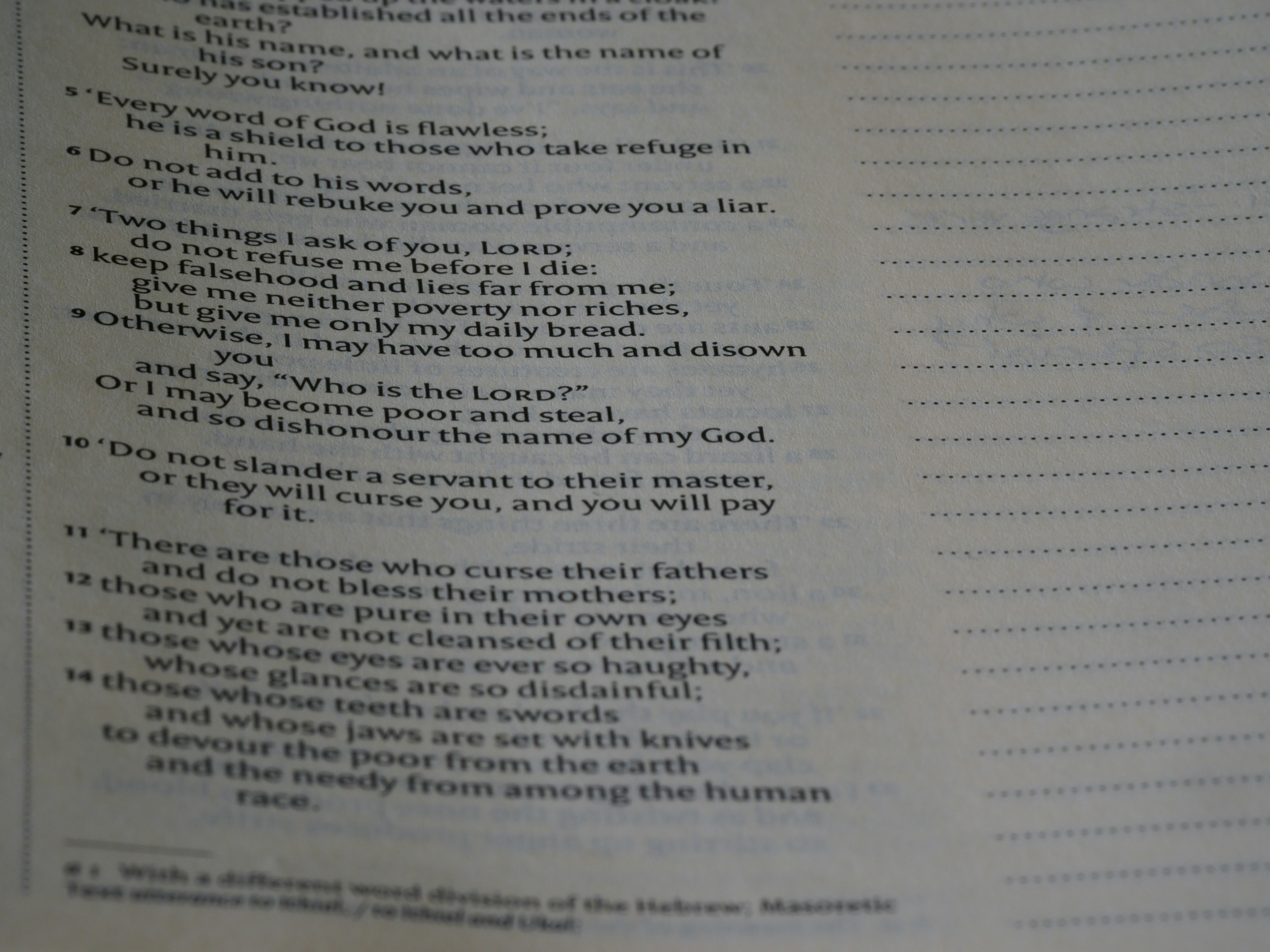 Photo by brett_jordan