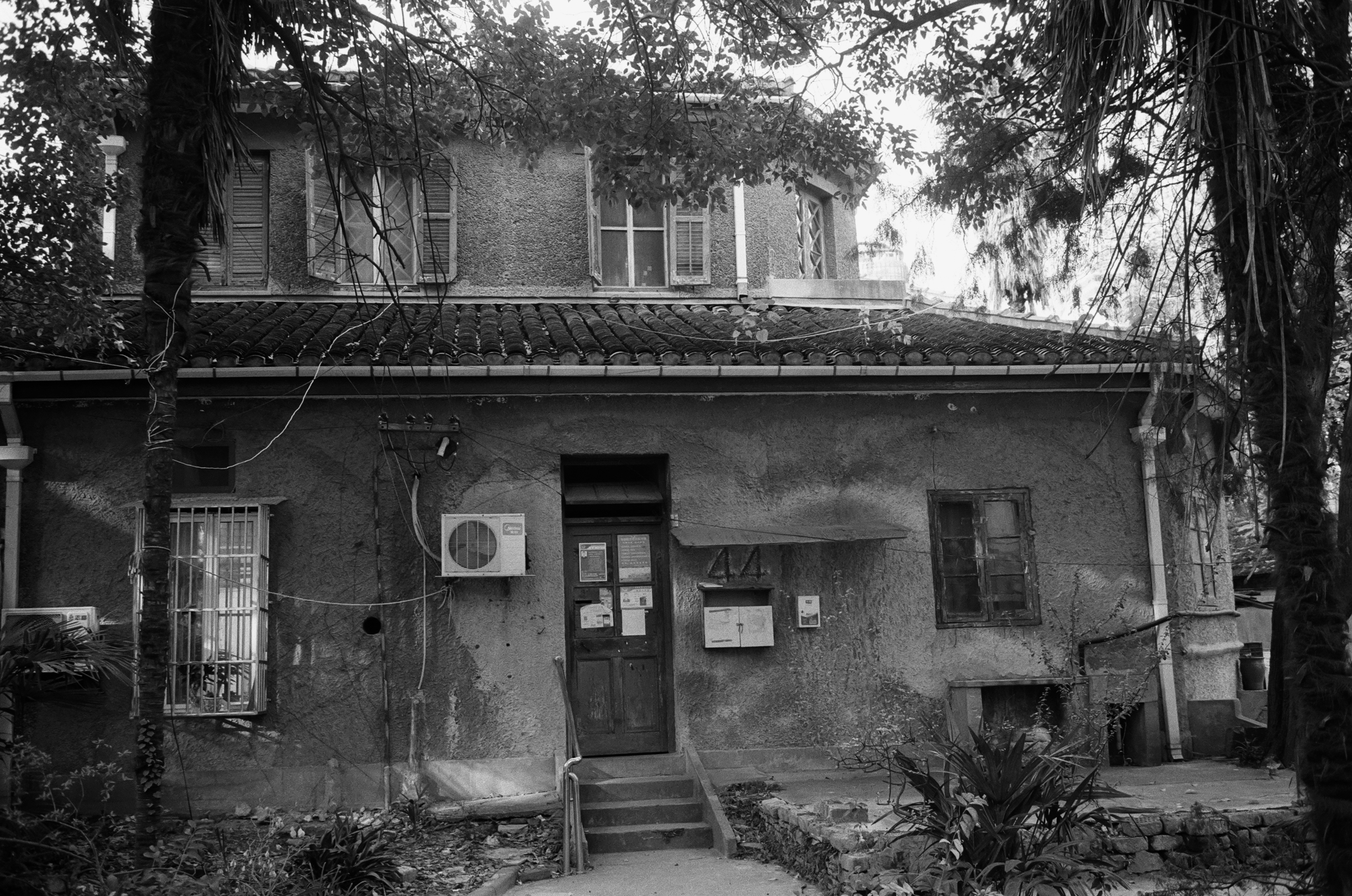 Photo by geraltyichen