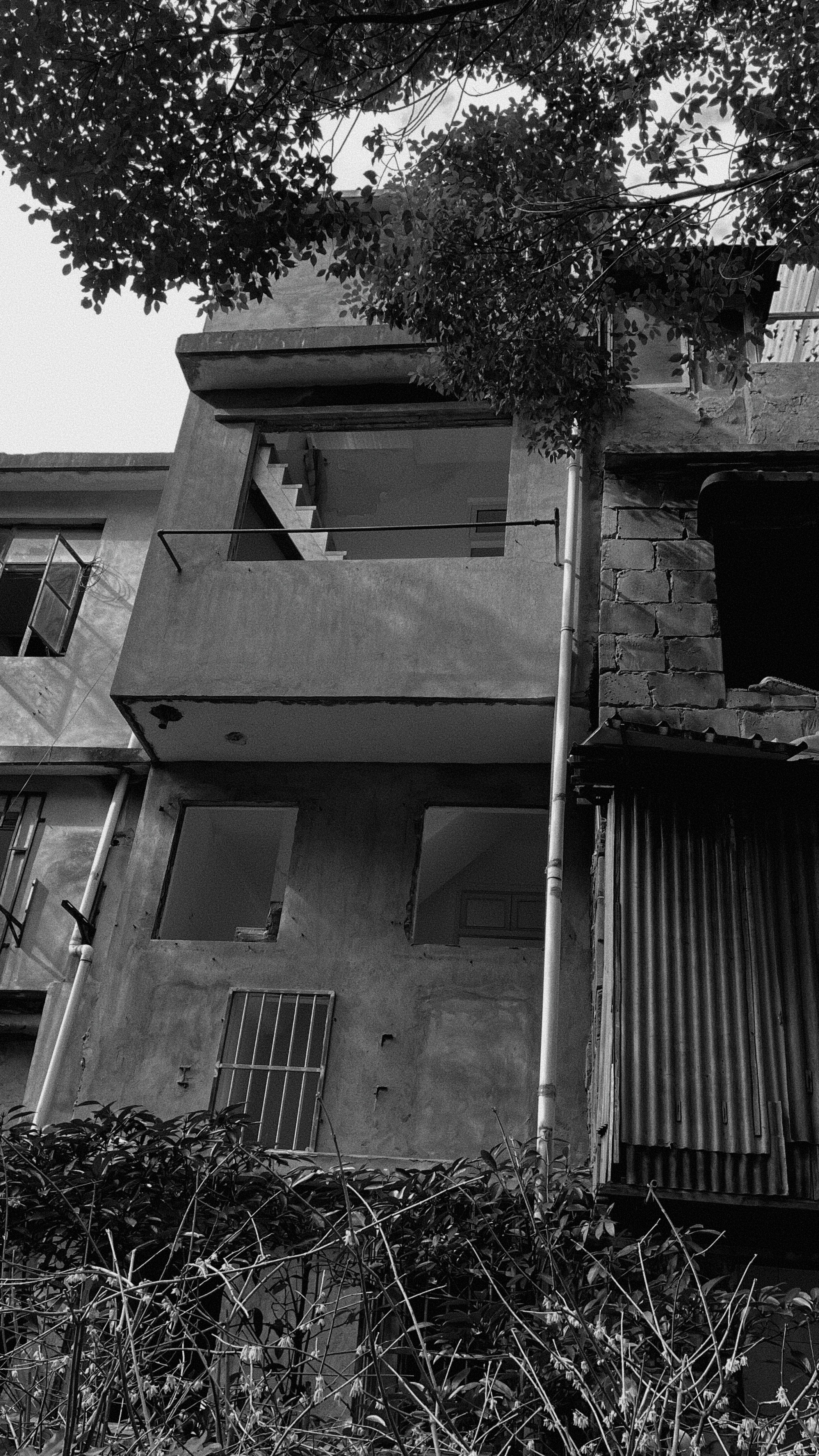 Photo by geraltyichen