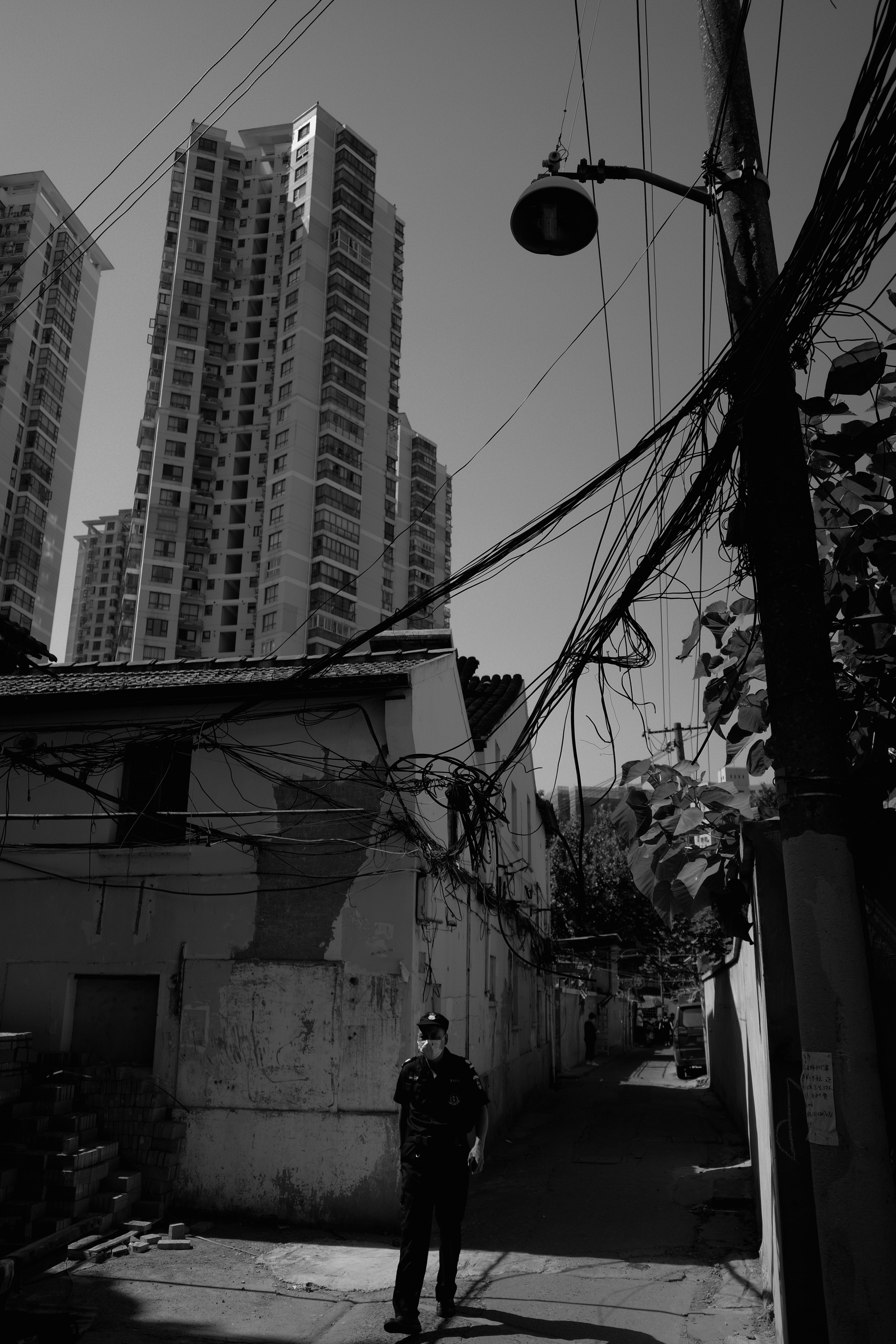 Photo by geraltyichen