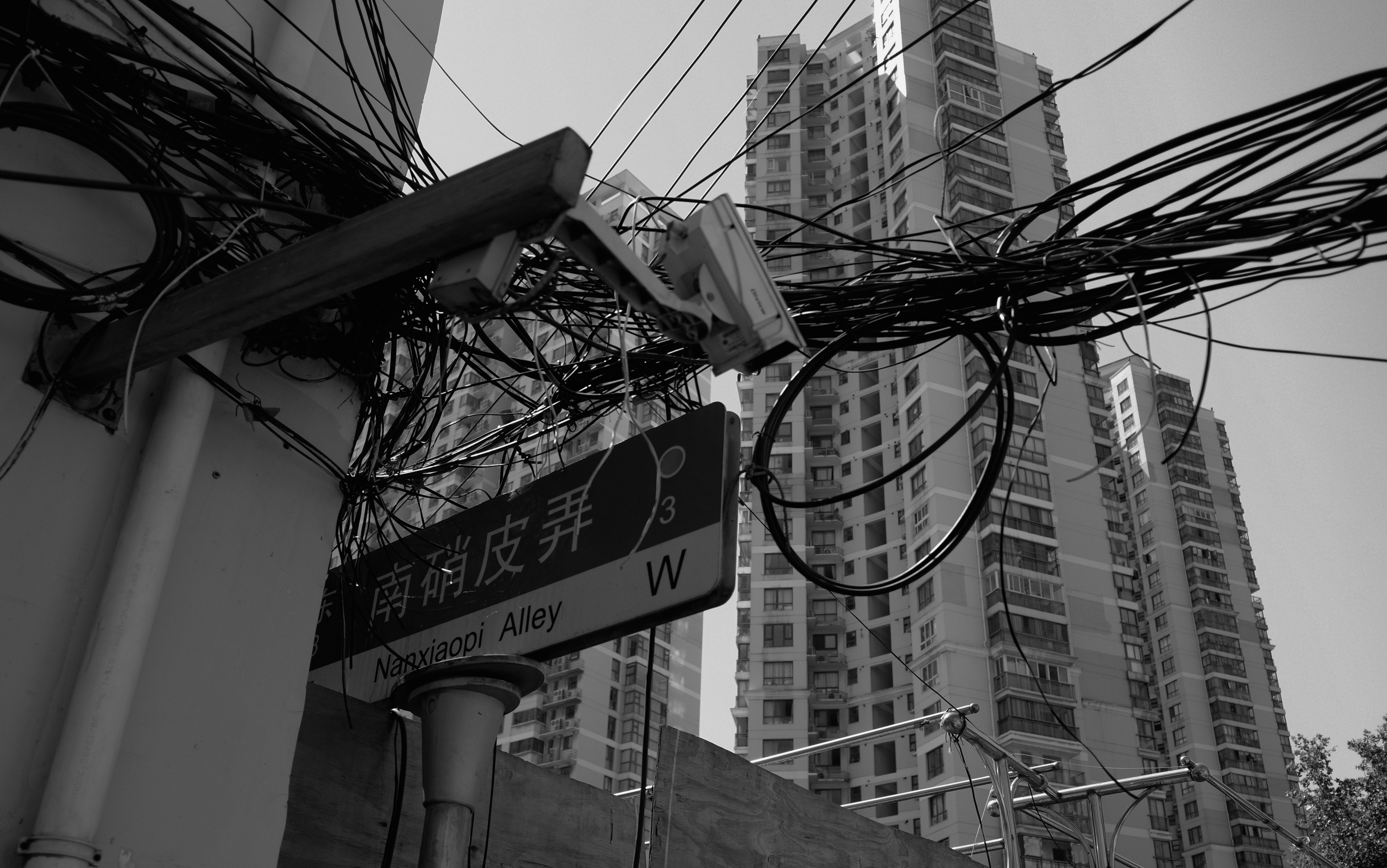 Photo by geraltyichen