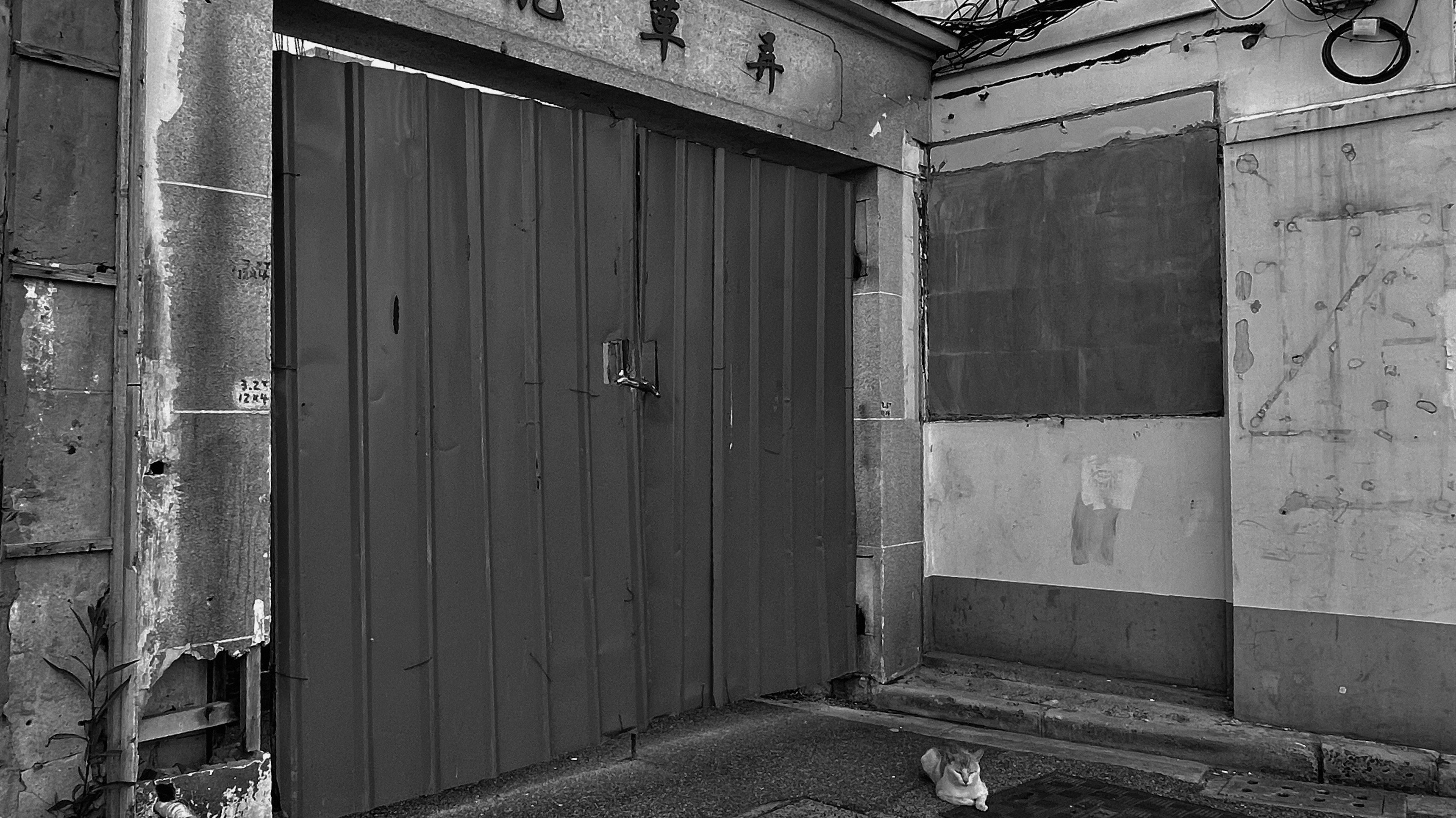 Photo by geraltyichen