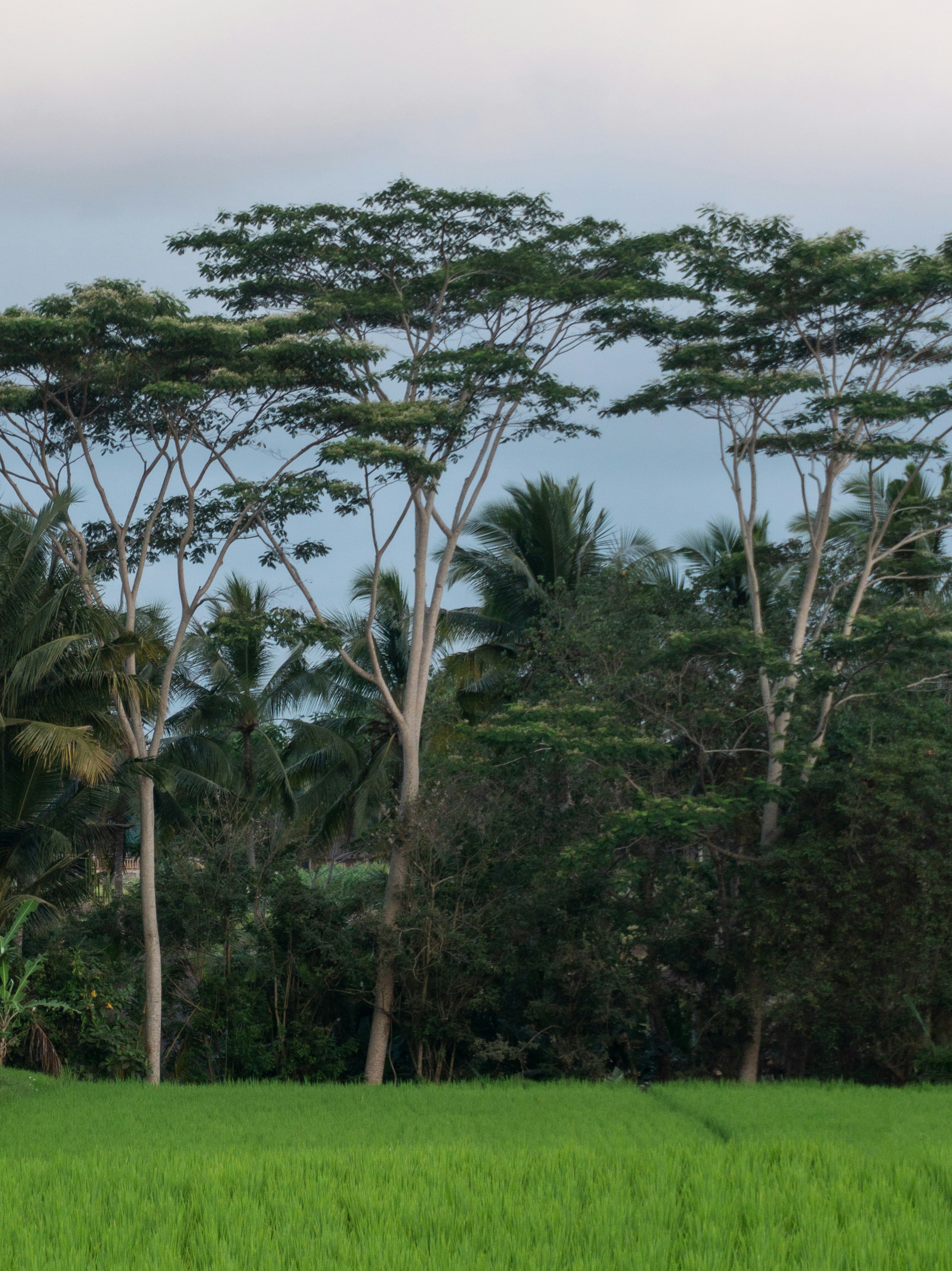 Photo by leonardo_64