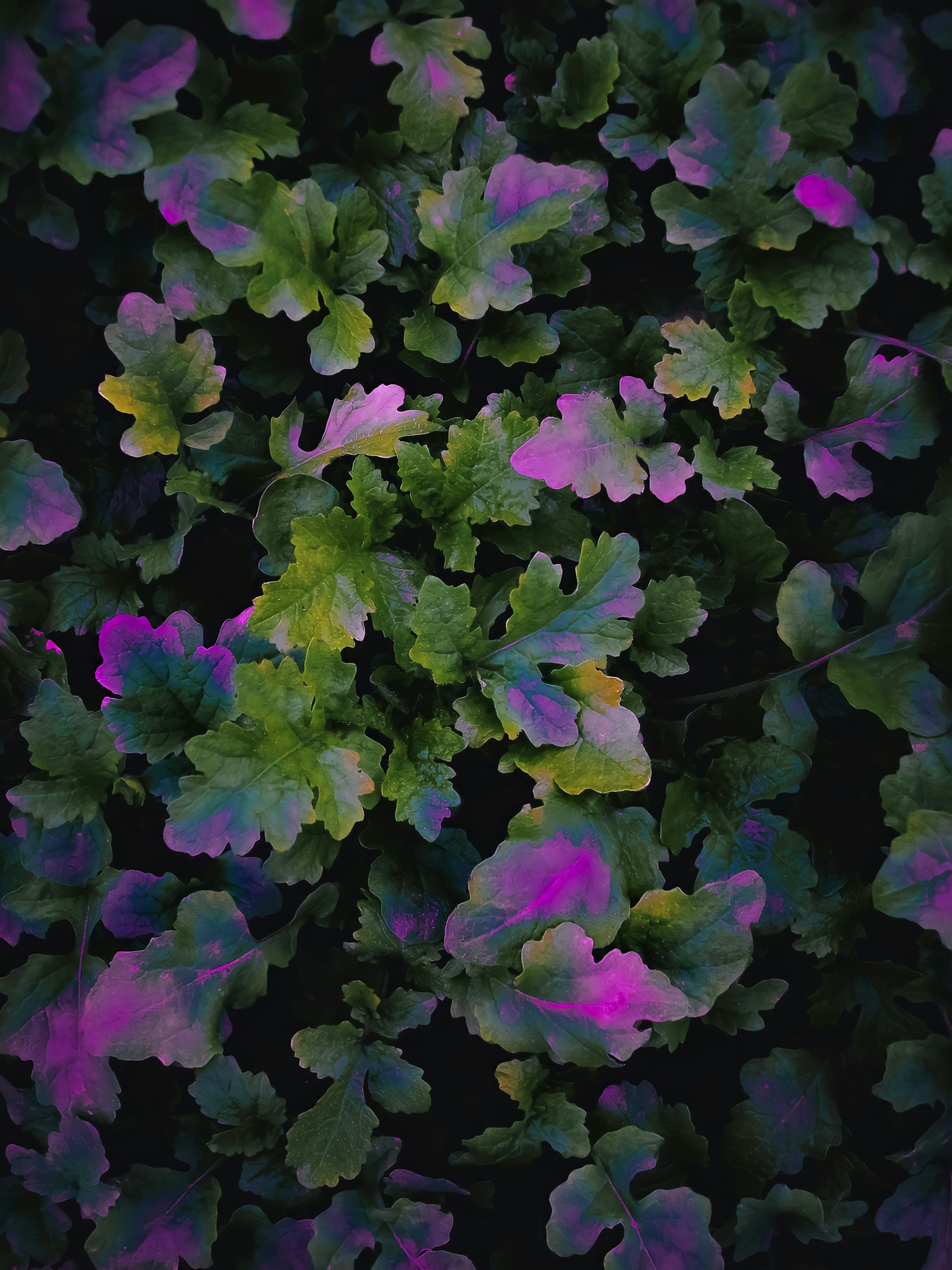 Photo by eugene_golovesov