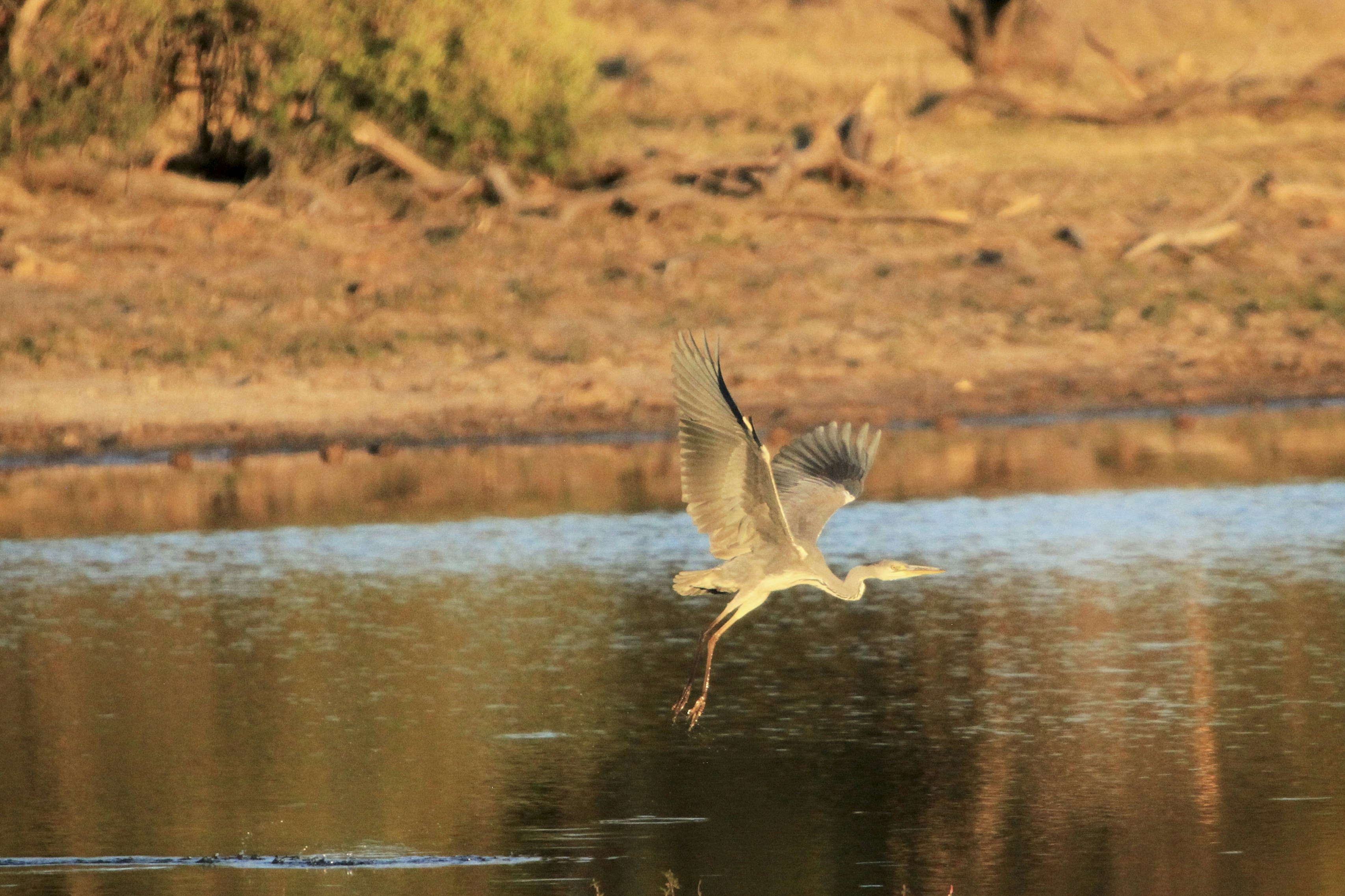 Photo by stewartphotography