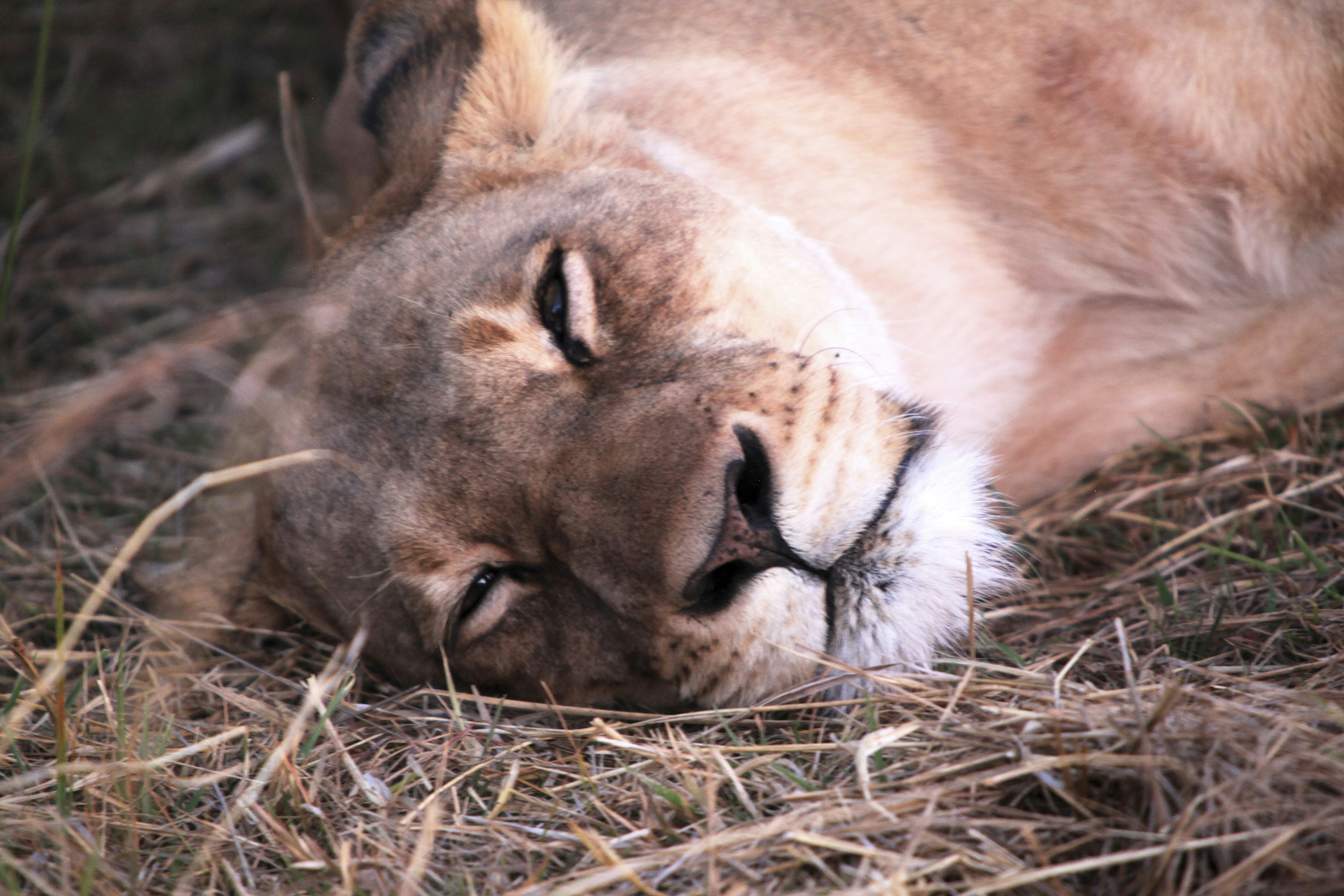 Photo by stewartphotography