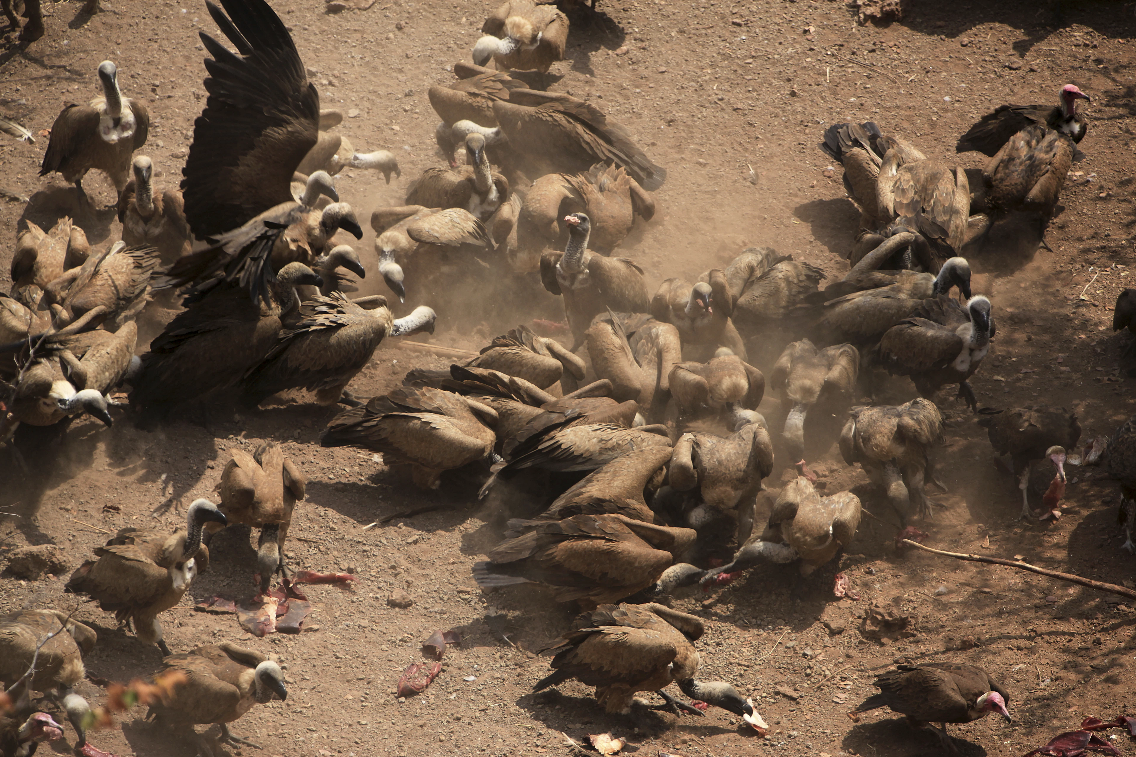 Egypt in 10 Days: Cairo, Luxor, Aswan