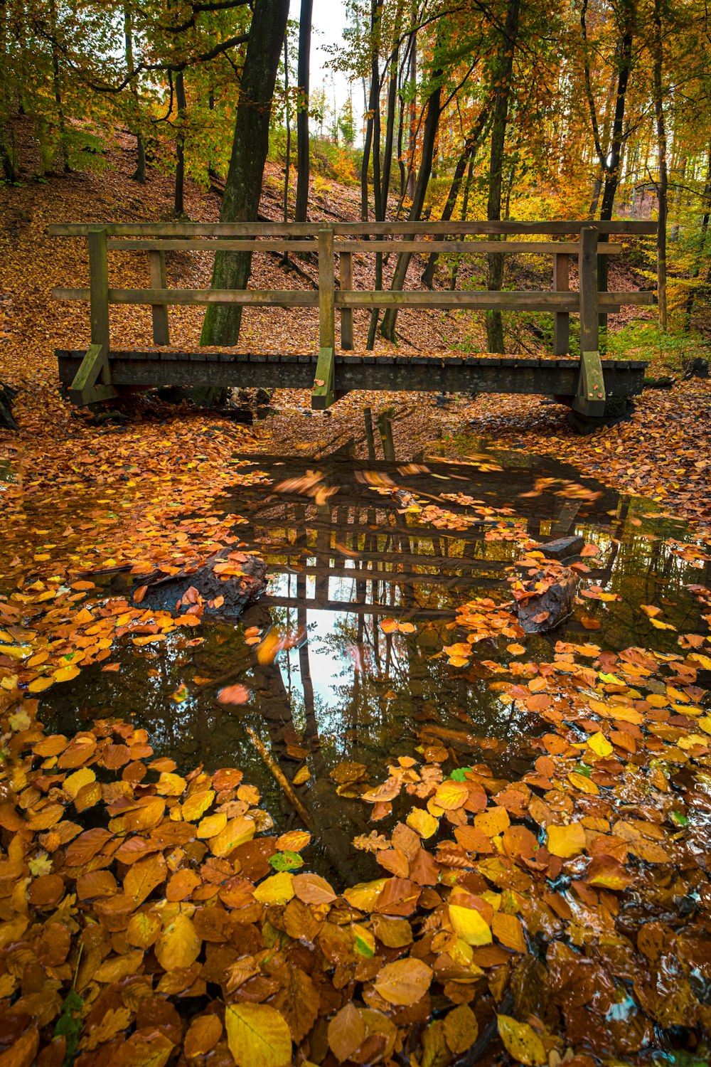 a wooden bridge over a pond