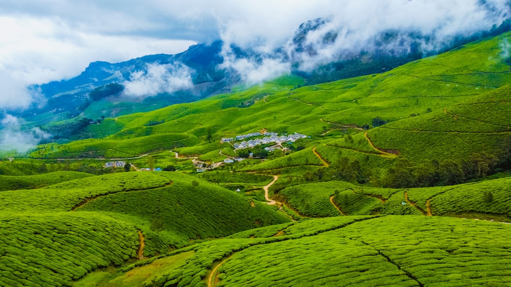 a green hilly landscape