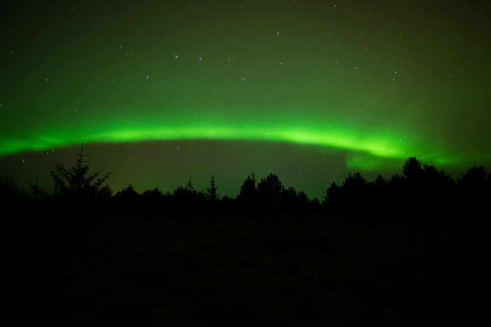 a green and purple aurora in the sky over trees