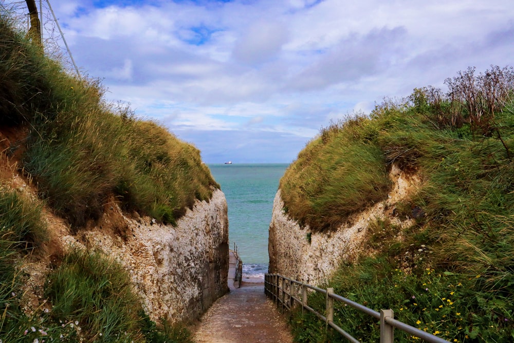 un sentiero che porta a una spiaggia