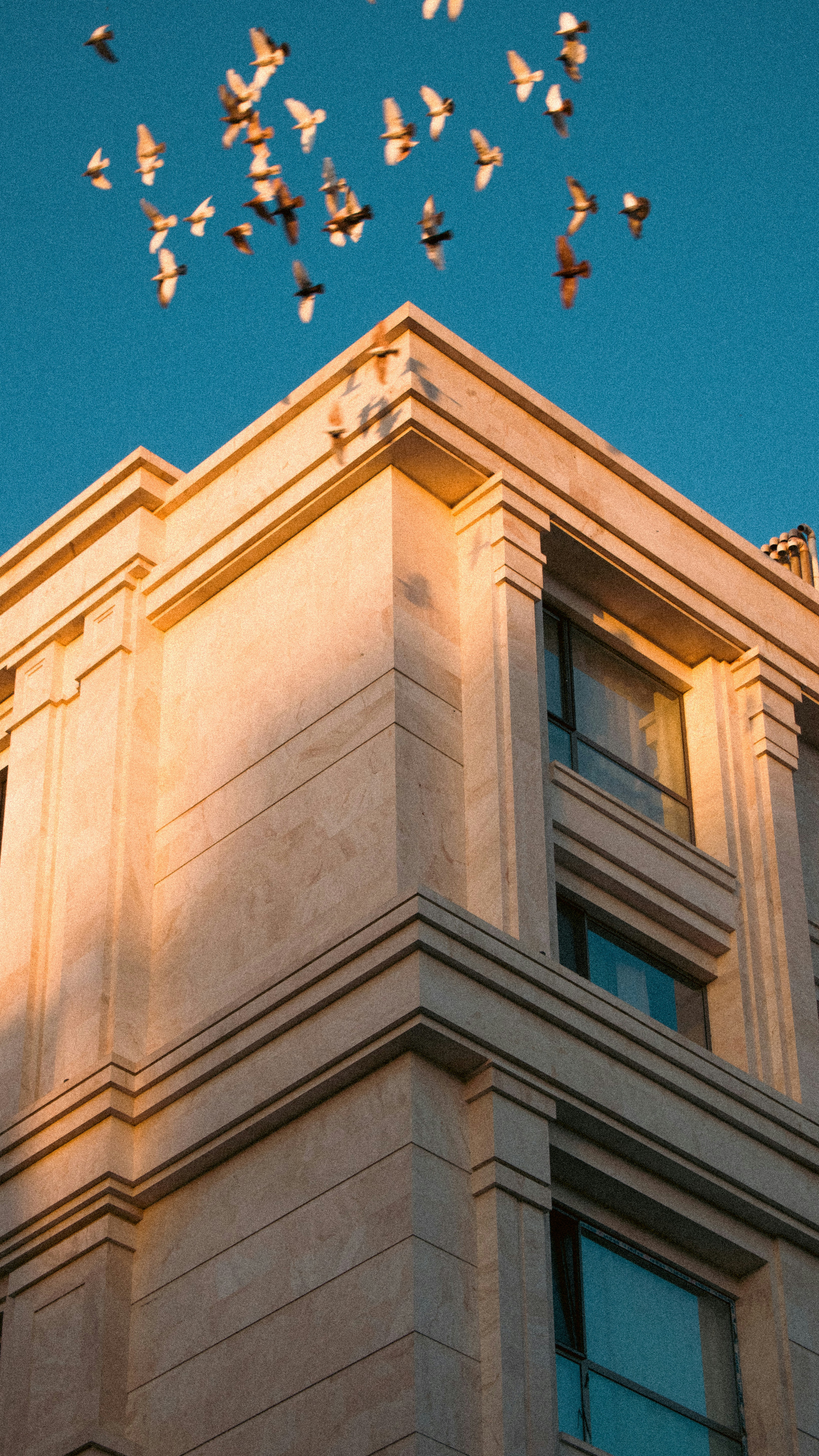 Photo by ilostmyselfout