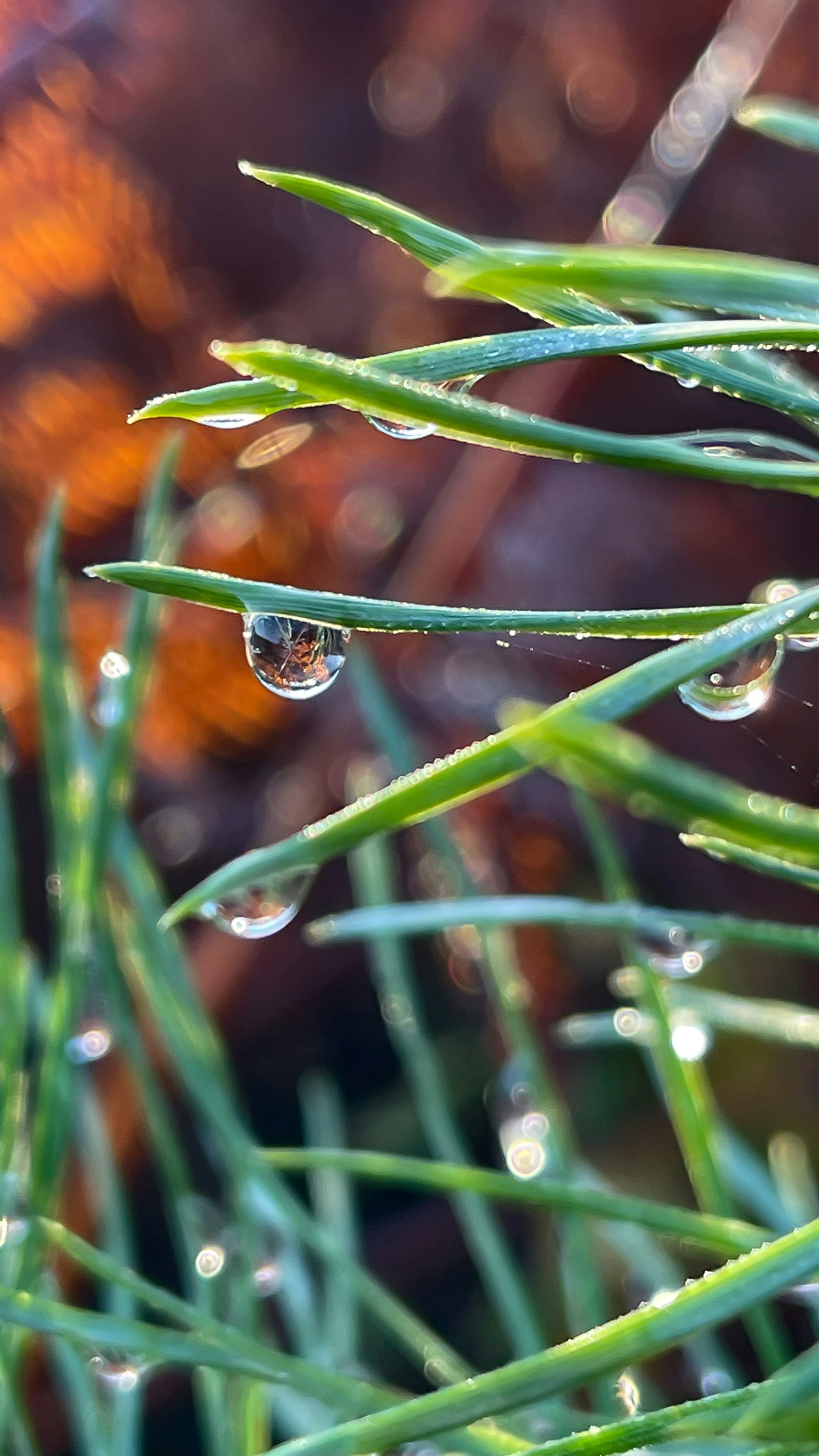 Photo by andreeamarialoga