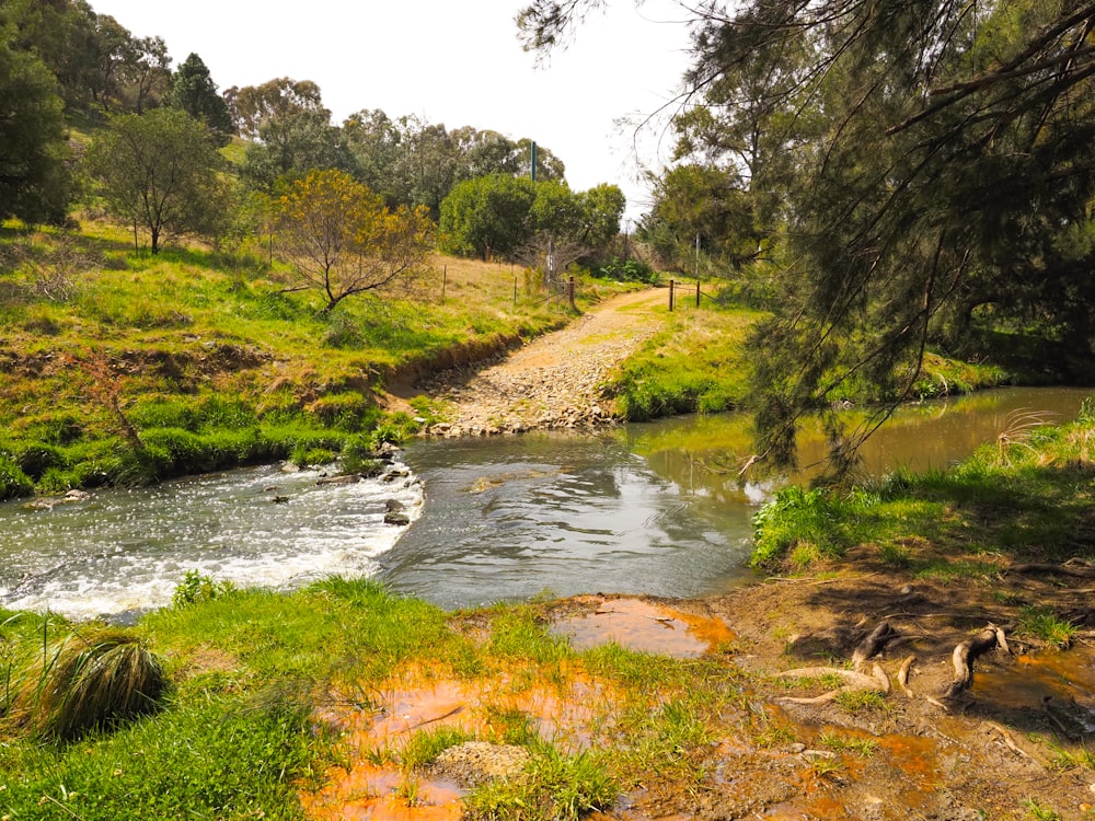 a small river with a small waterfall