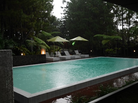 a pool with chairs and umbrellas