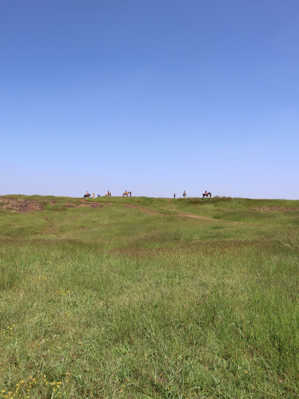 a group of people walking on a grassy hill