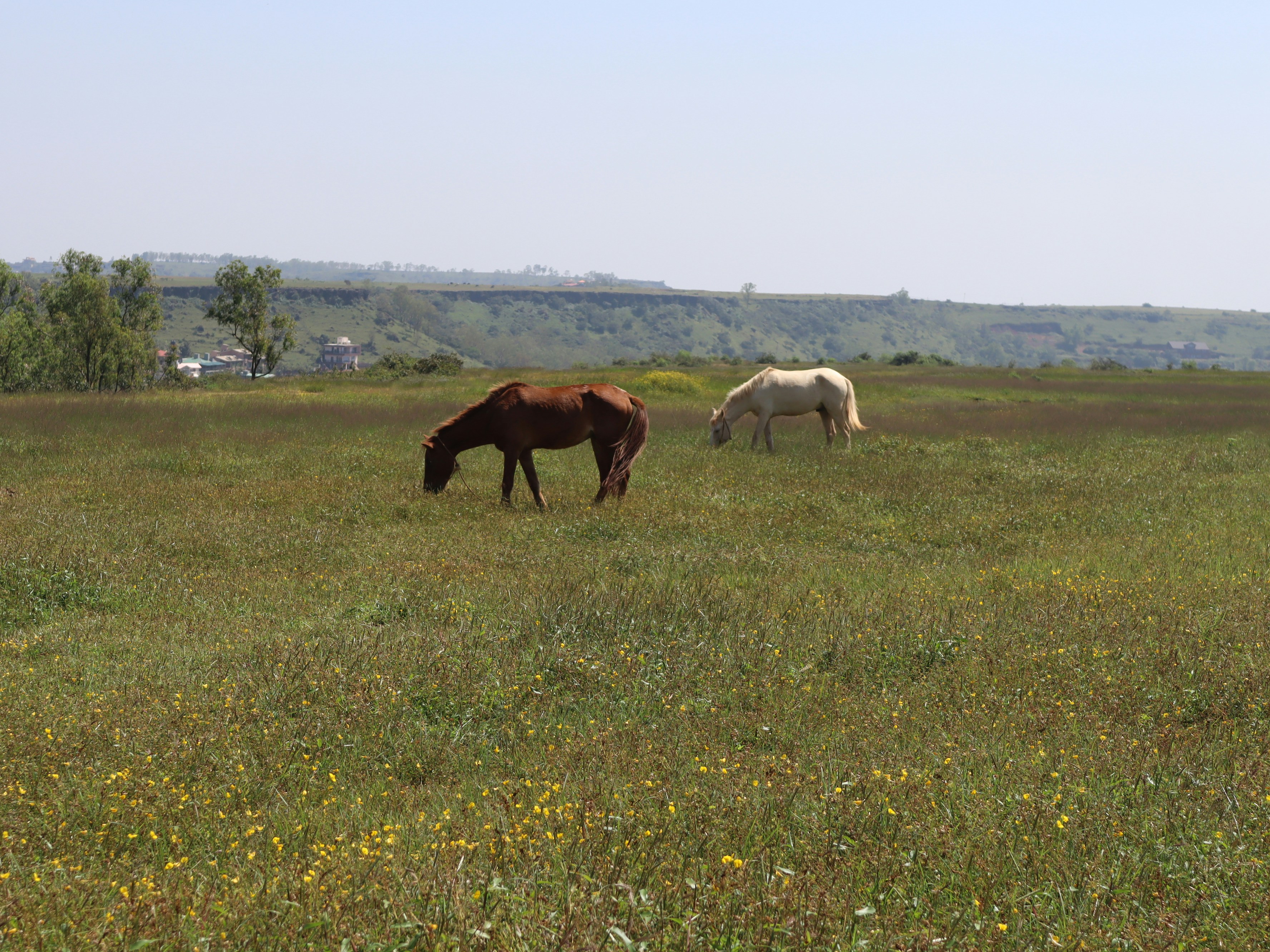 Photo by travelshow_with_shivam