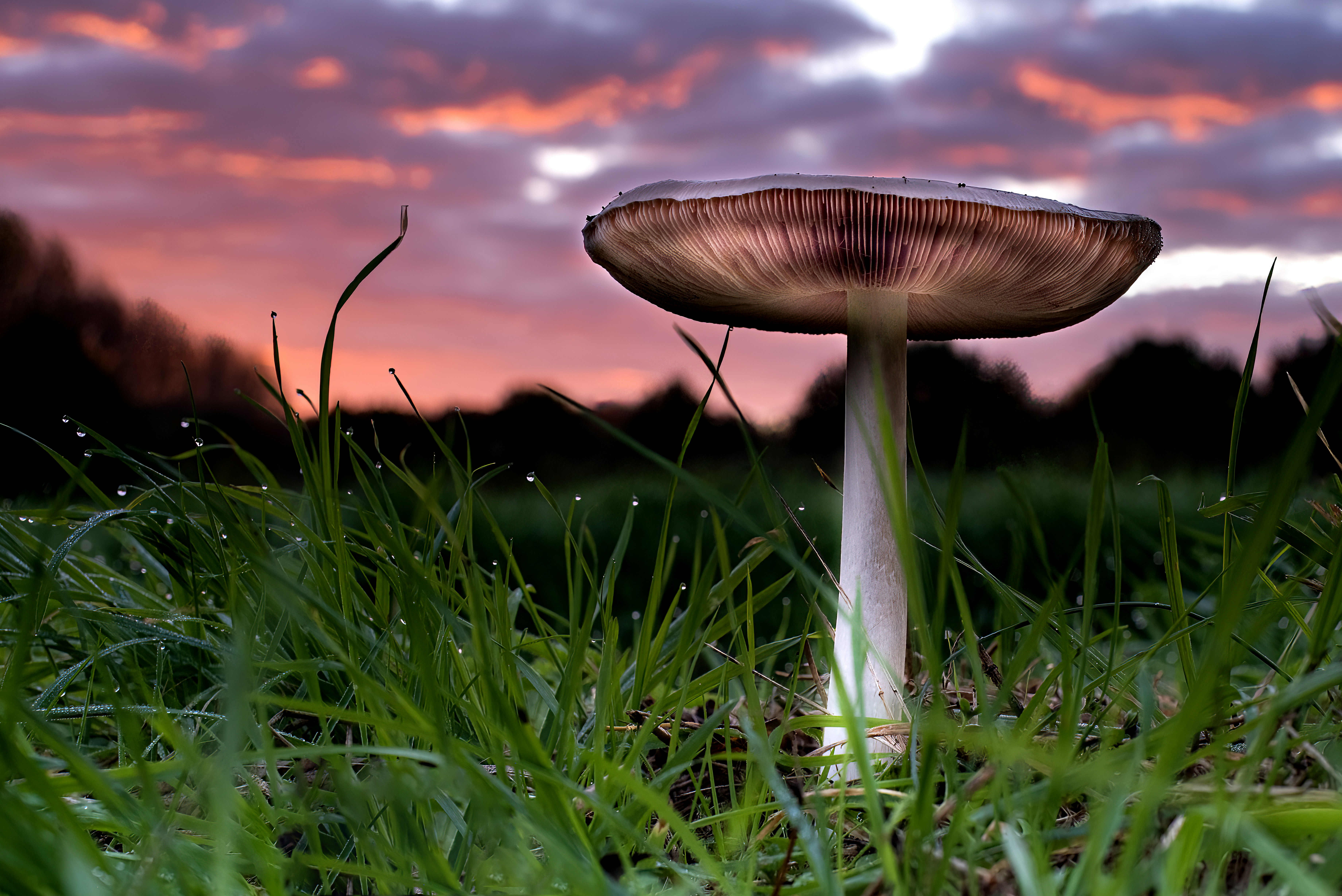 Photo by Lucas van Oort