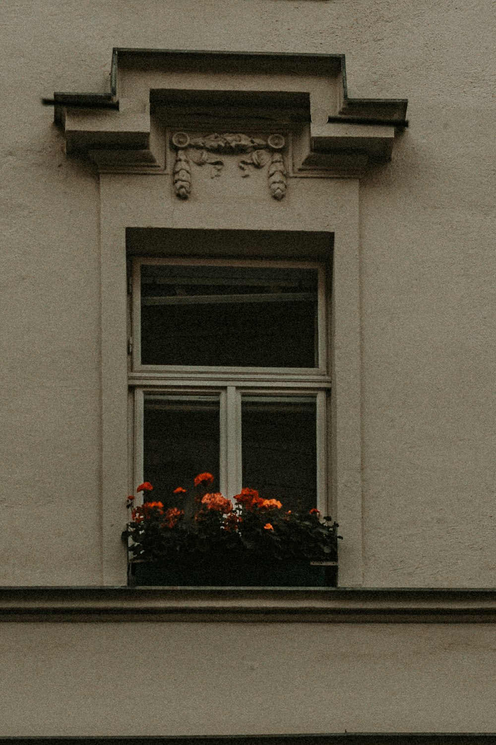 a window with flowers in it
