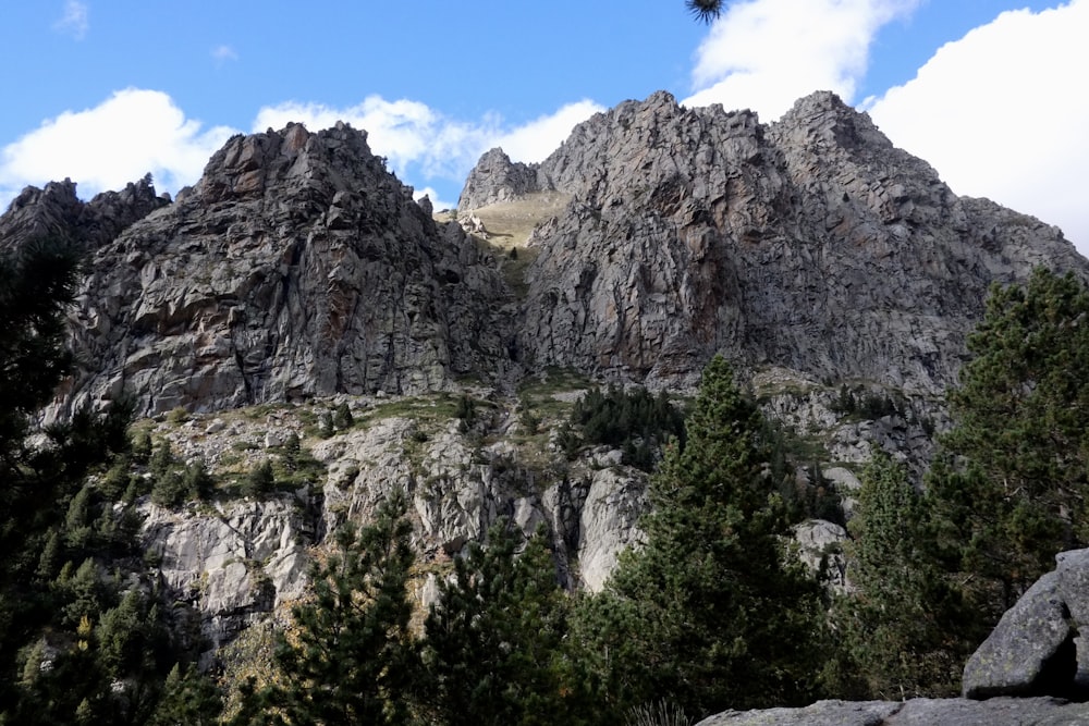 a rocky mountain with trees