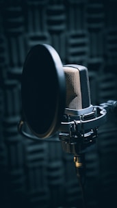 a pair of black shoes