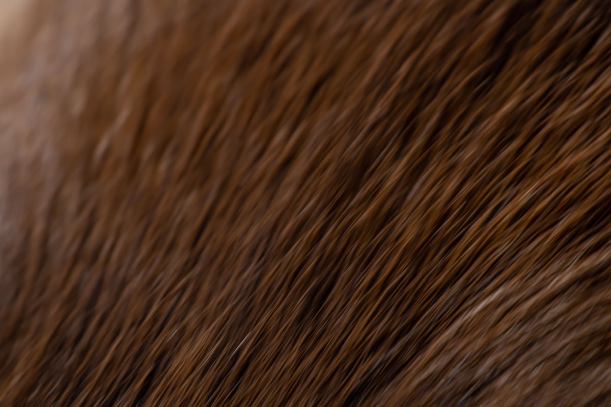 Close up of a person's hair