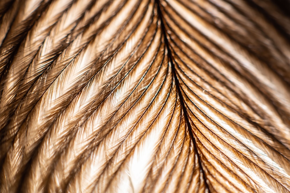 a close up of a tree trunk