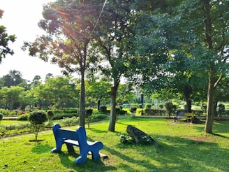 A peaceful park bench surrounded by light blue sky and gentle greenery, inviting reflection.