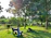 A serene sunrise over a peaceful park bench surrounded by soft green trees.