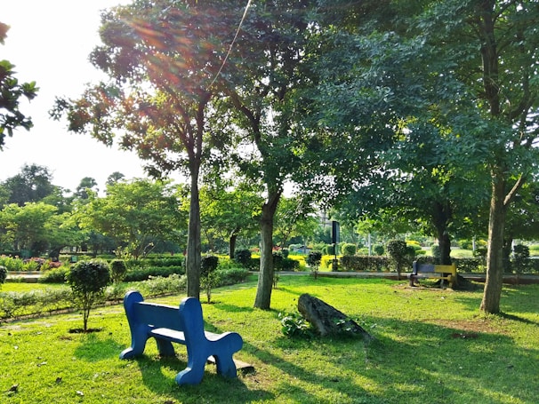 A peaceful park bench surrounded by light blue sky and gentle greenery, inviting reflection.