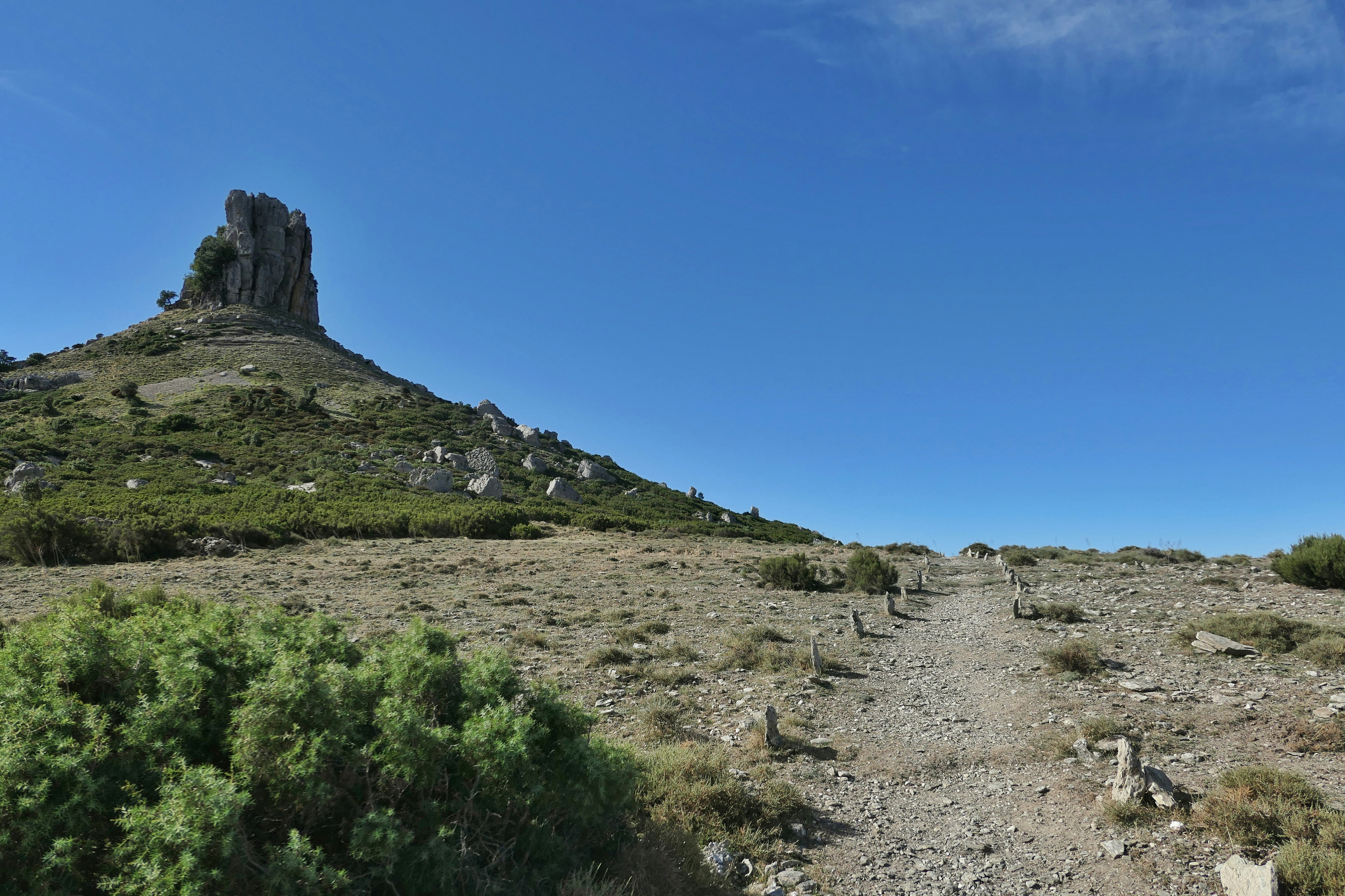 Foto Una colina rocosa con árboles – Imagen Sendero gratis en Unsplash