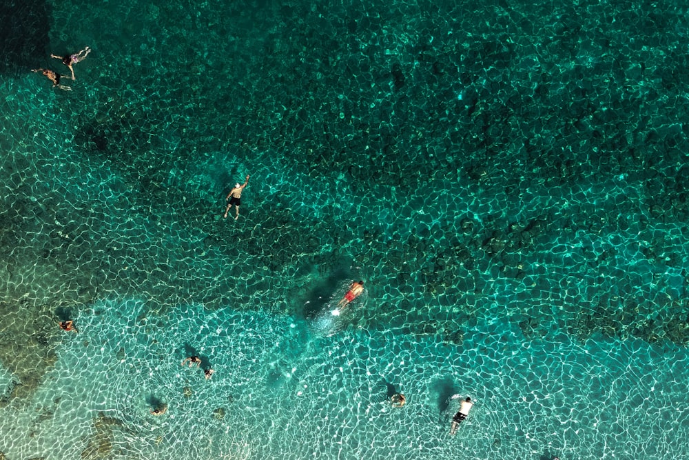 a group of people swimming in a pool