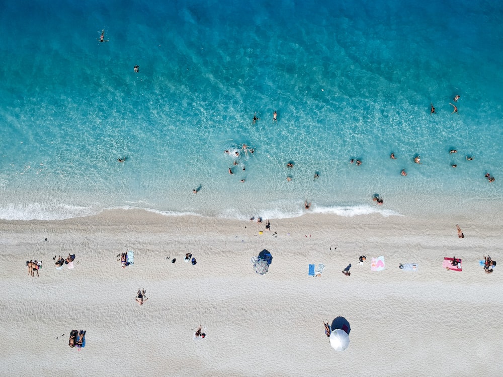 a group of people at the beach