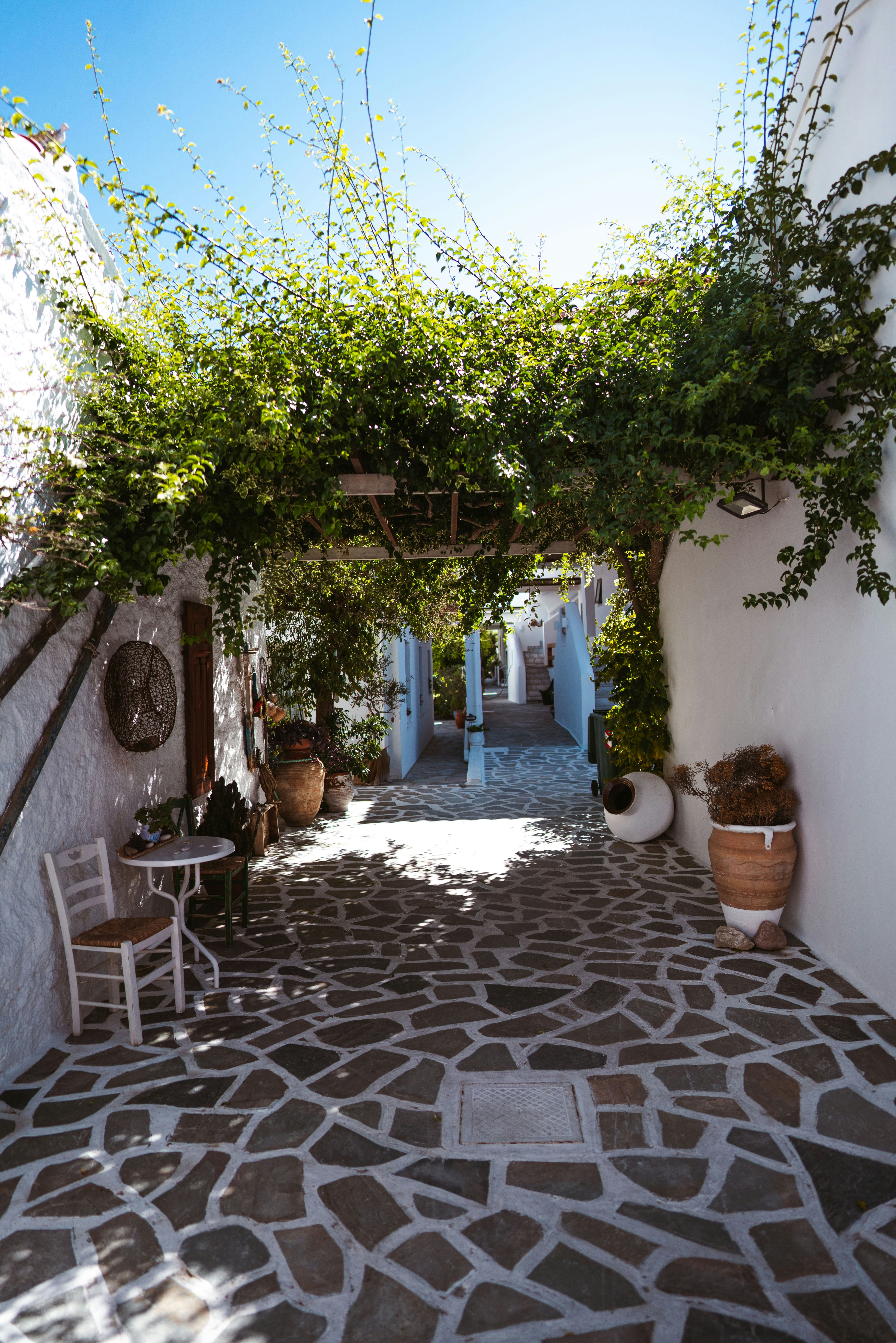 Photo by brunovdkraan