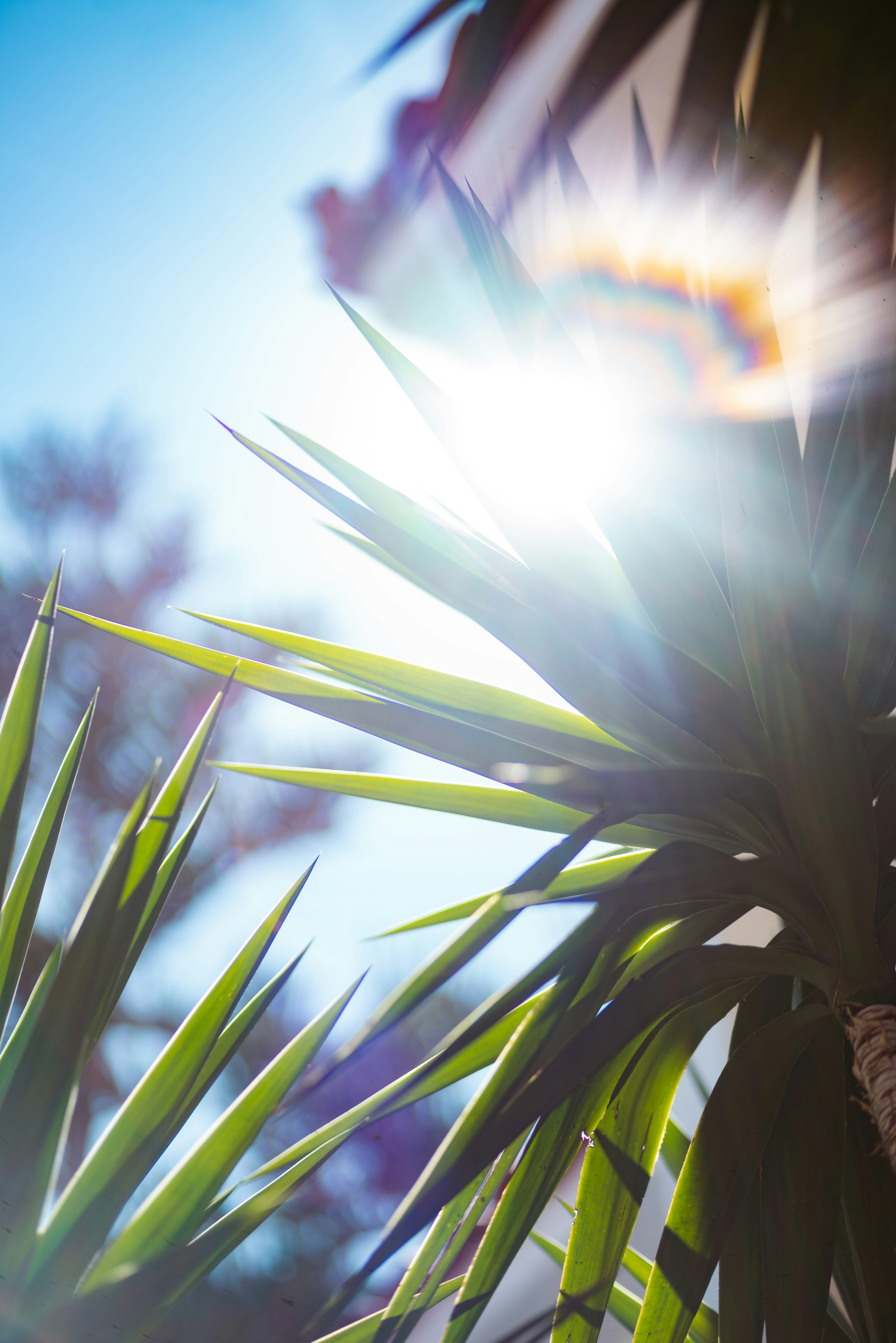 Photo by brunovdkraan