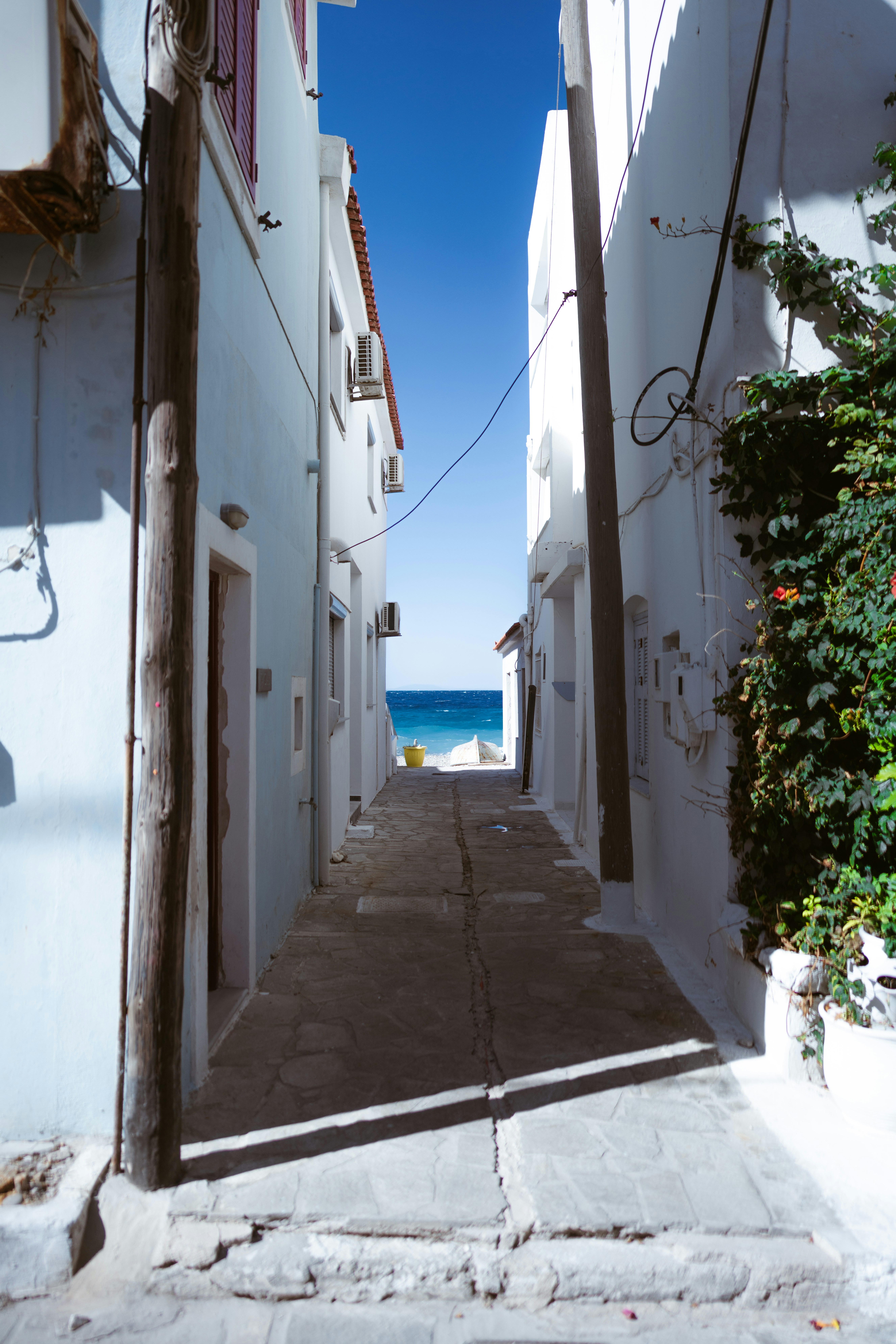 Photo by brunovdkraan