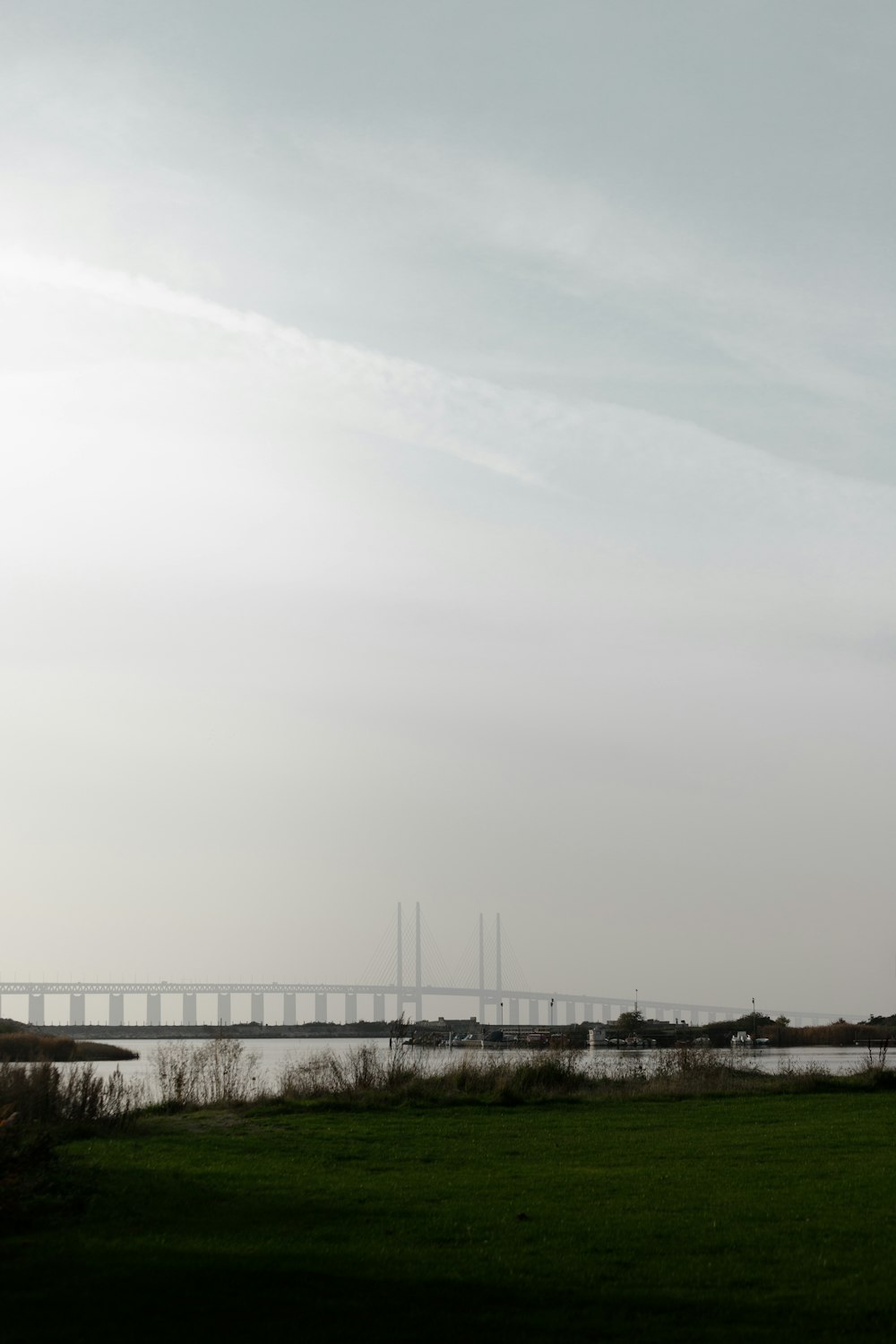 a field with a bridge in the background