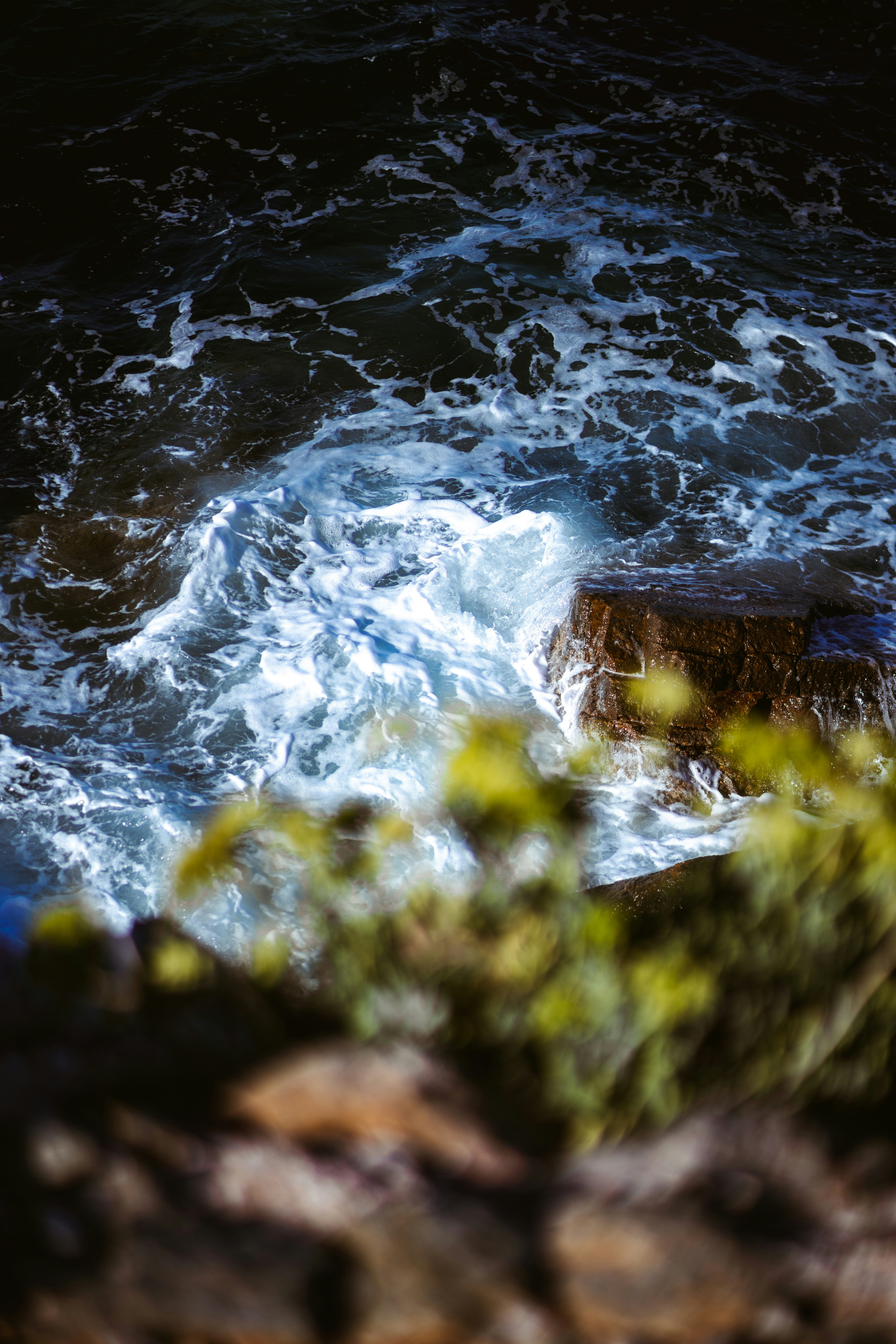 Photo by brunovdkraan