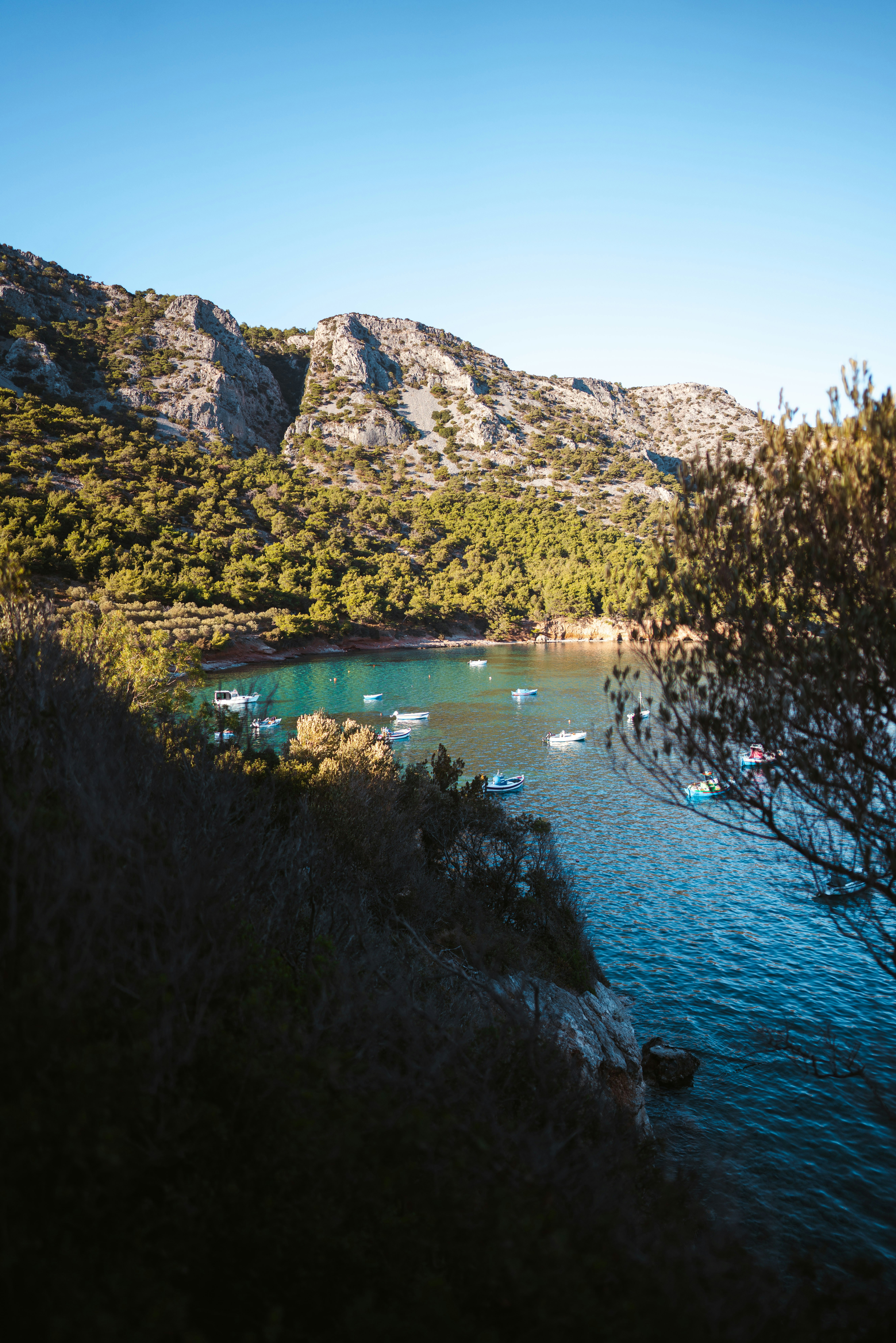 Photo by brunovdkraan