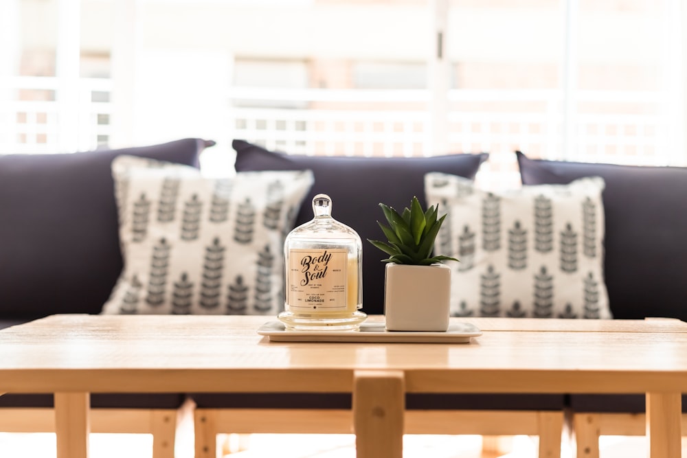 a table with a bottle and a potted plant on it