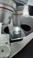 A microscope focused on a slide, highlighting detailed scientific observation.