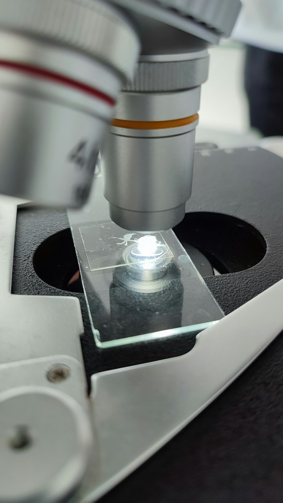 Professional Lab Microscope